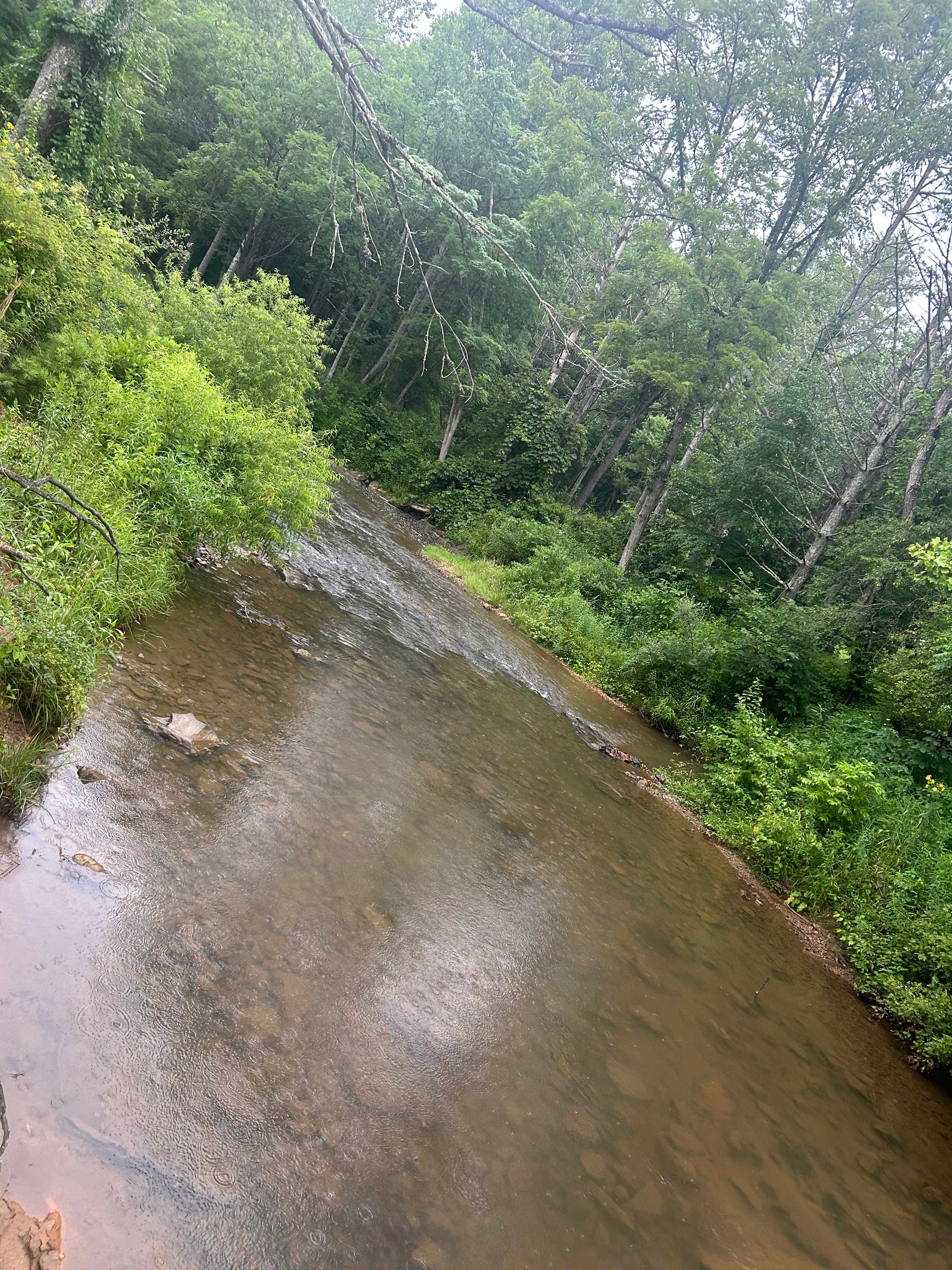 Hippie Hollow