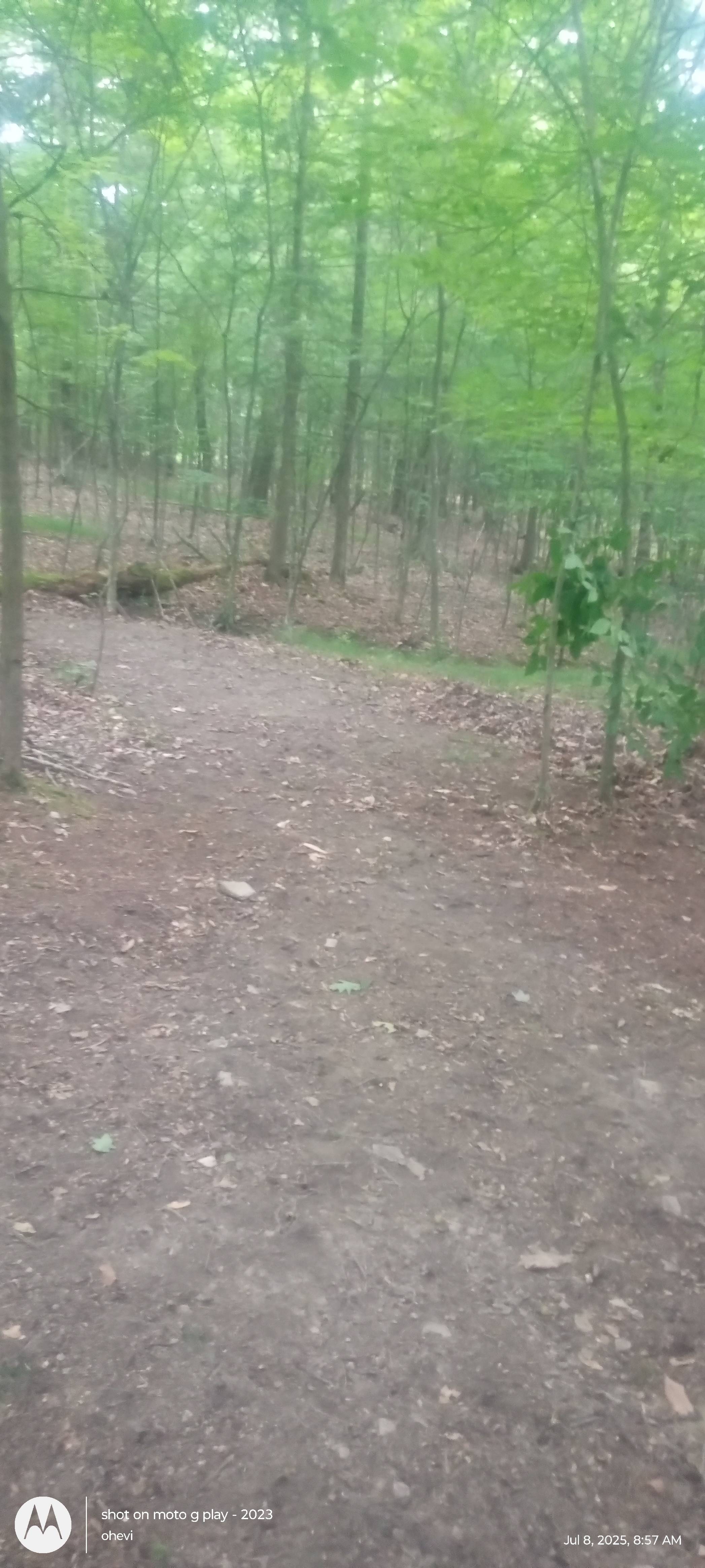 Stoney Goat Homestead