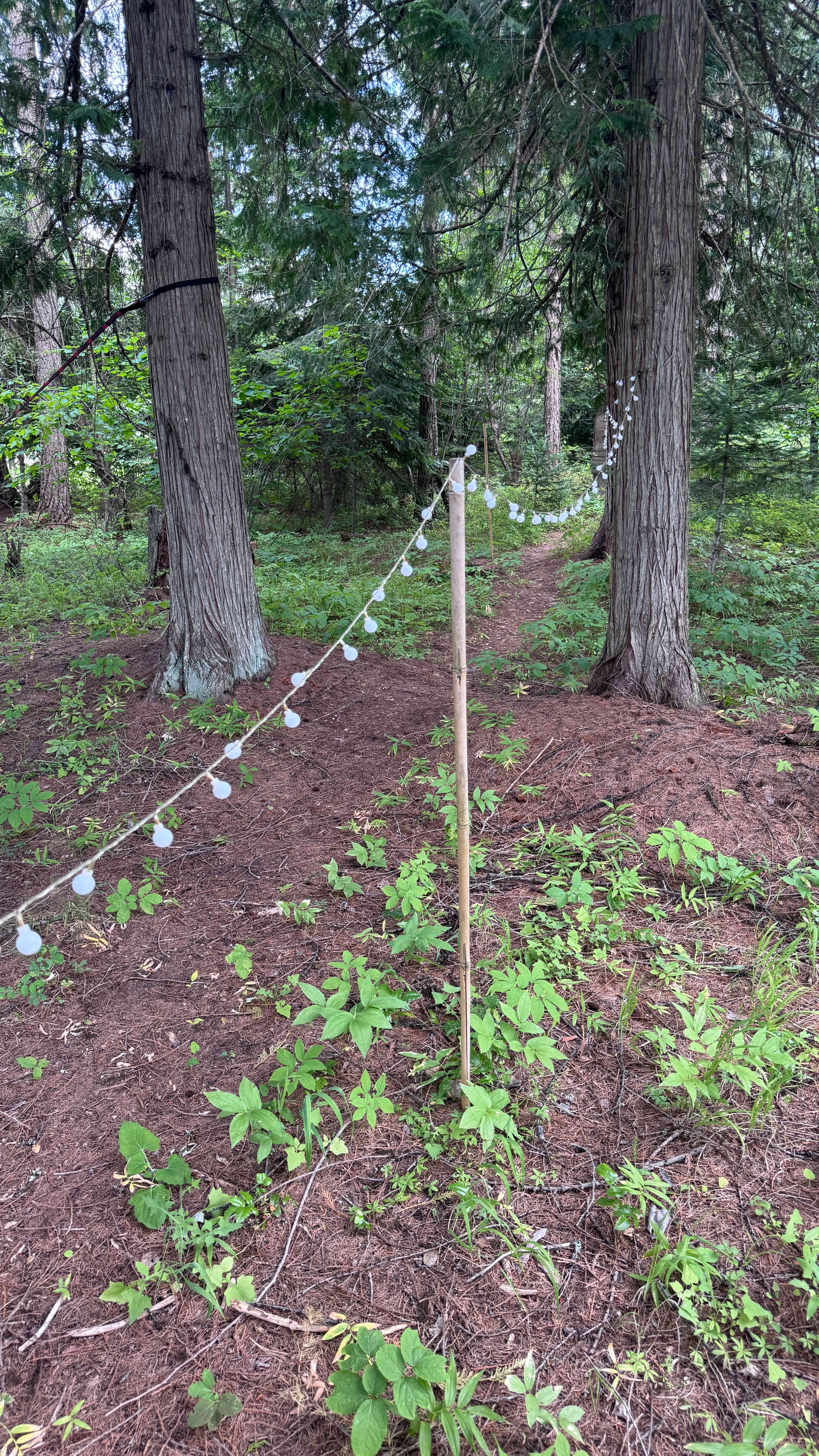 The pathway to the toilet is lit with low level lights to find your way at night.