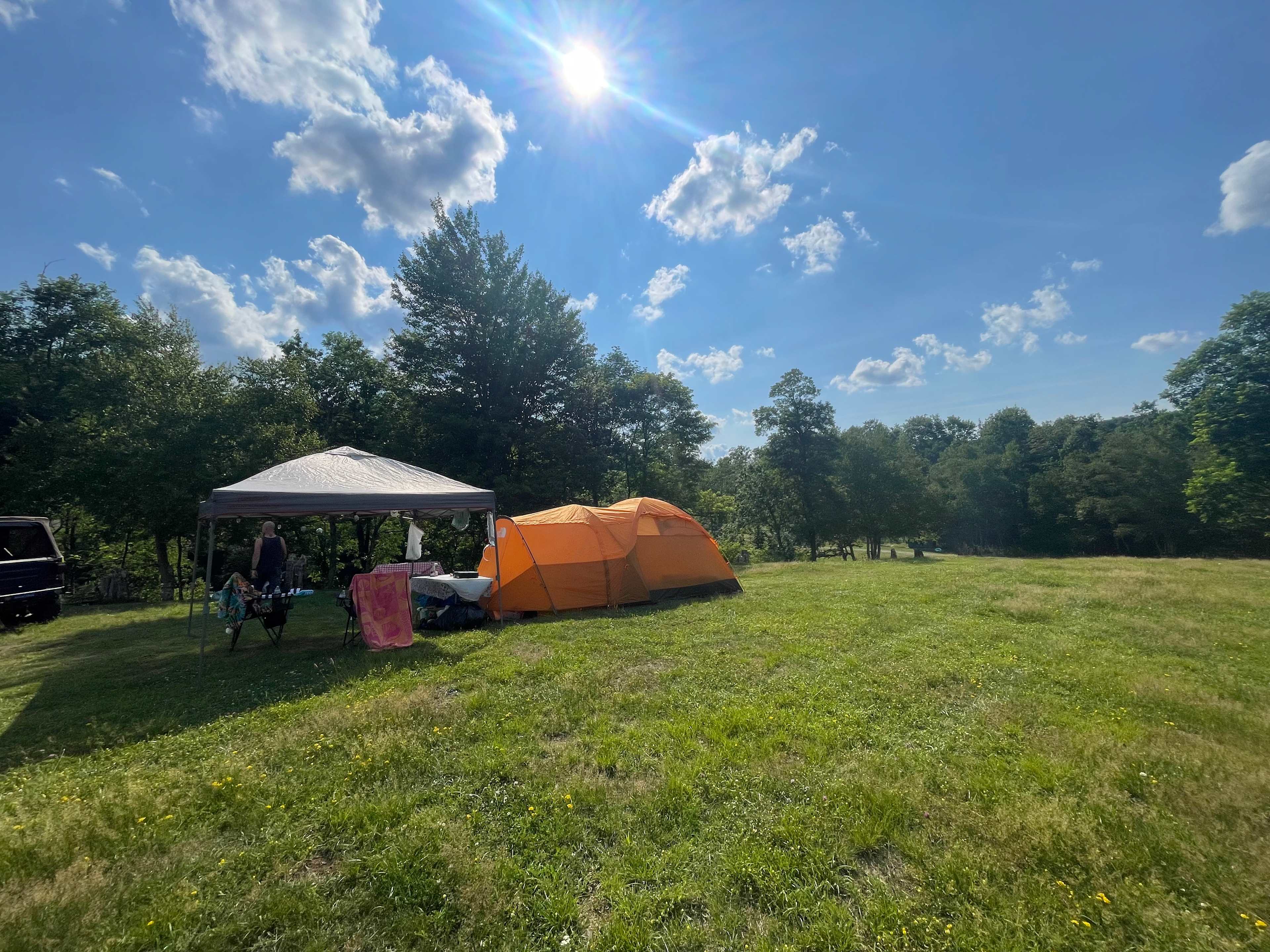 Bear Run Farms