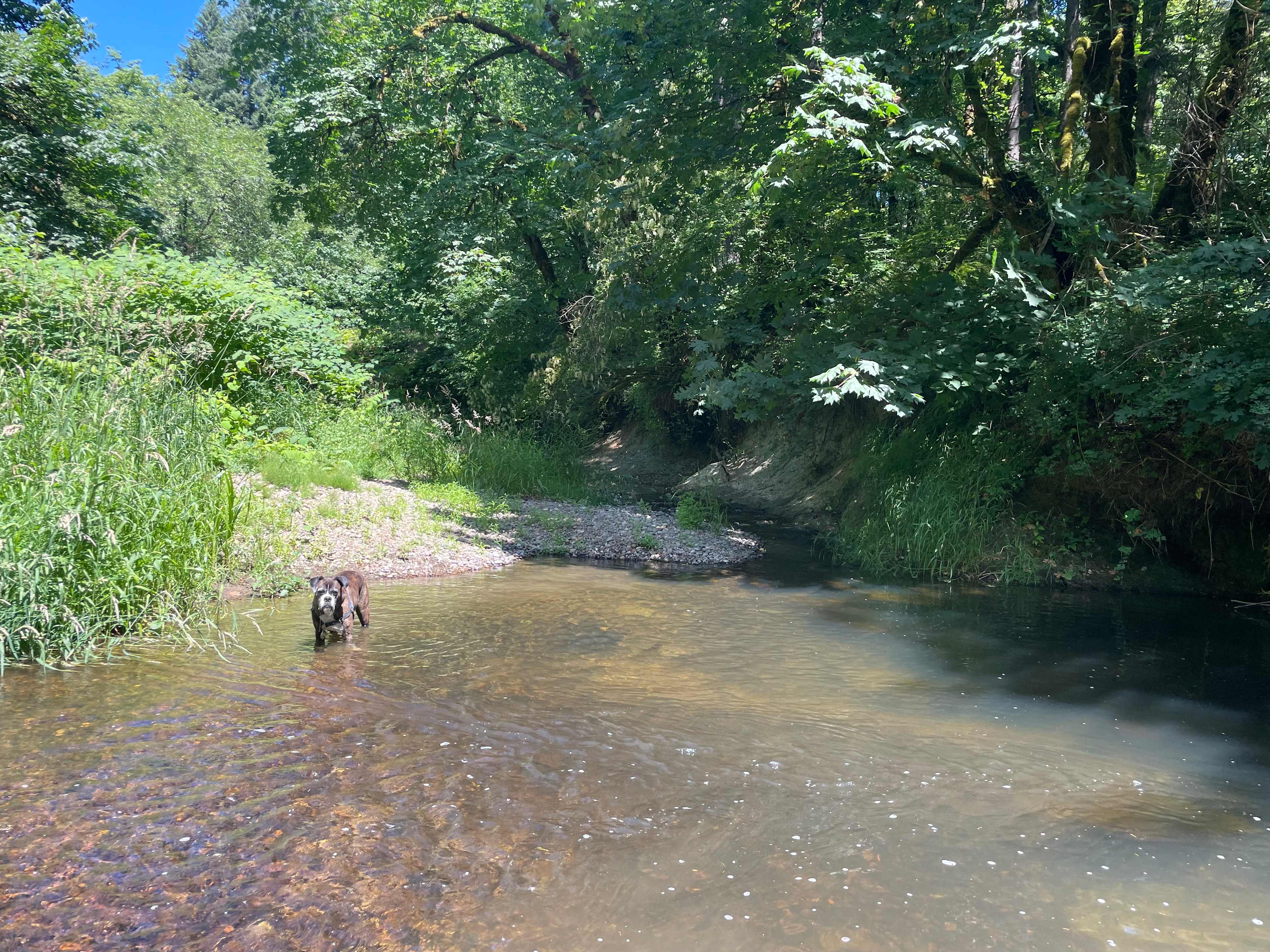 Isla Springs
