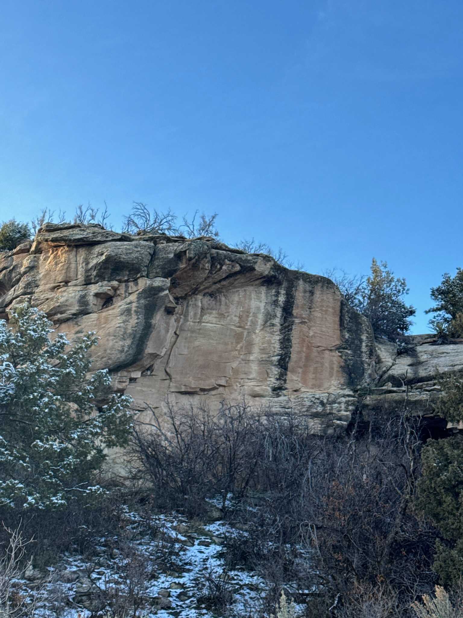 Picture of the site
