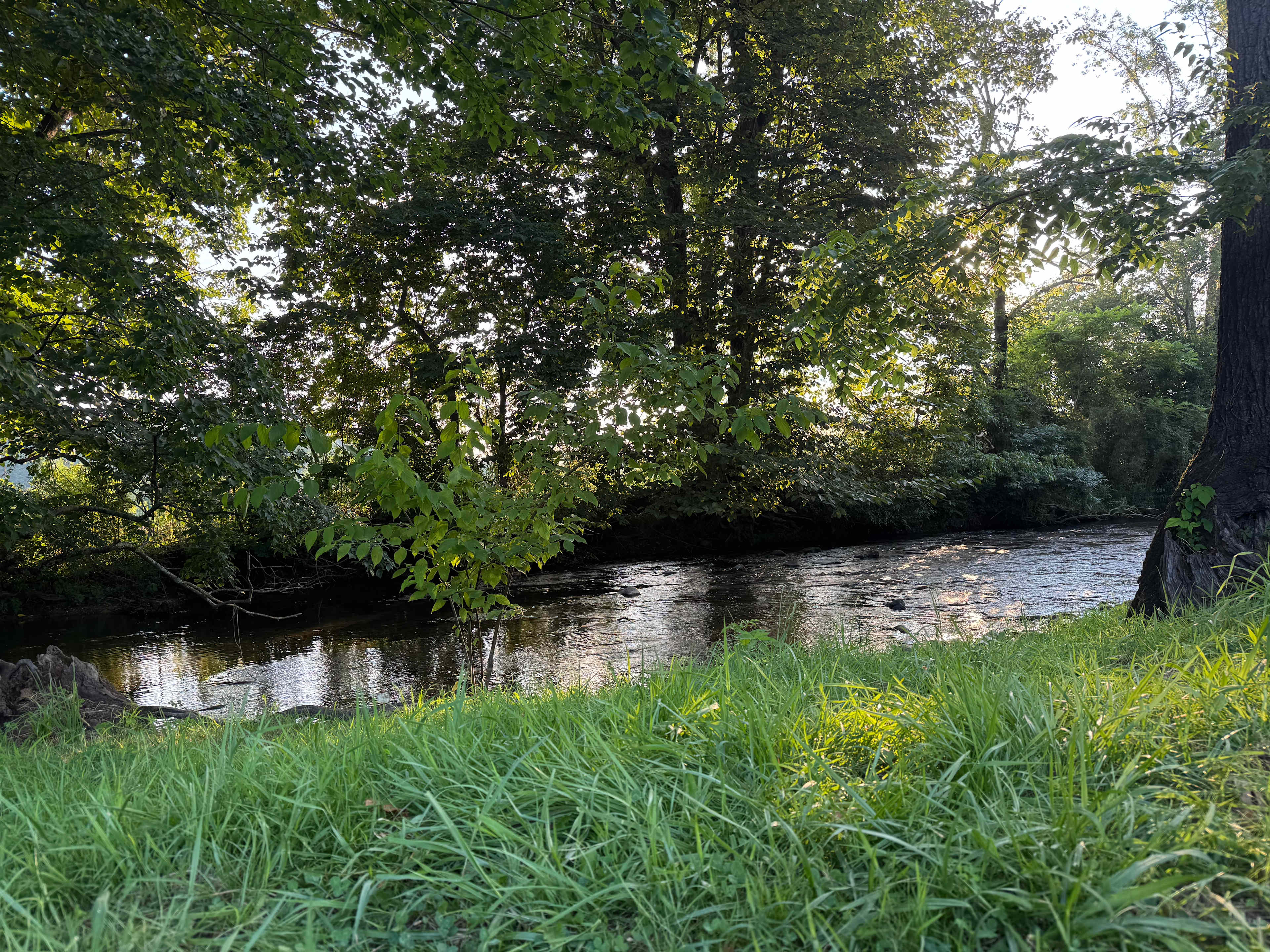 Stream was nice to wade in and cool off!