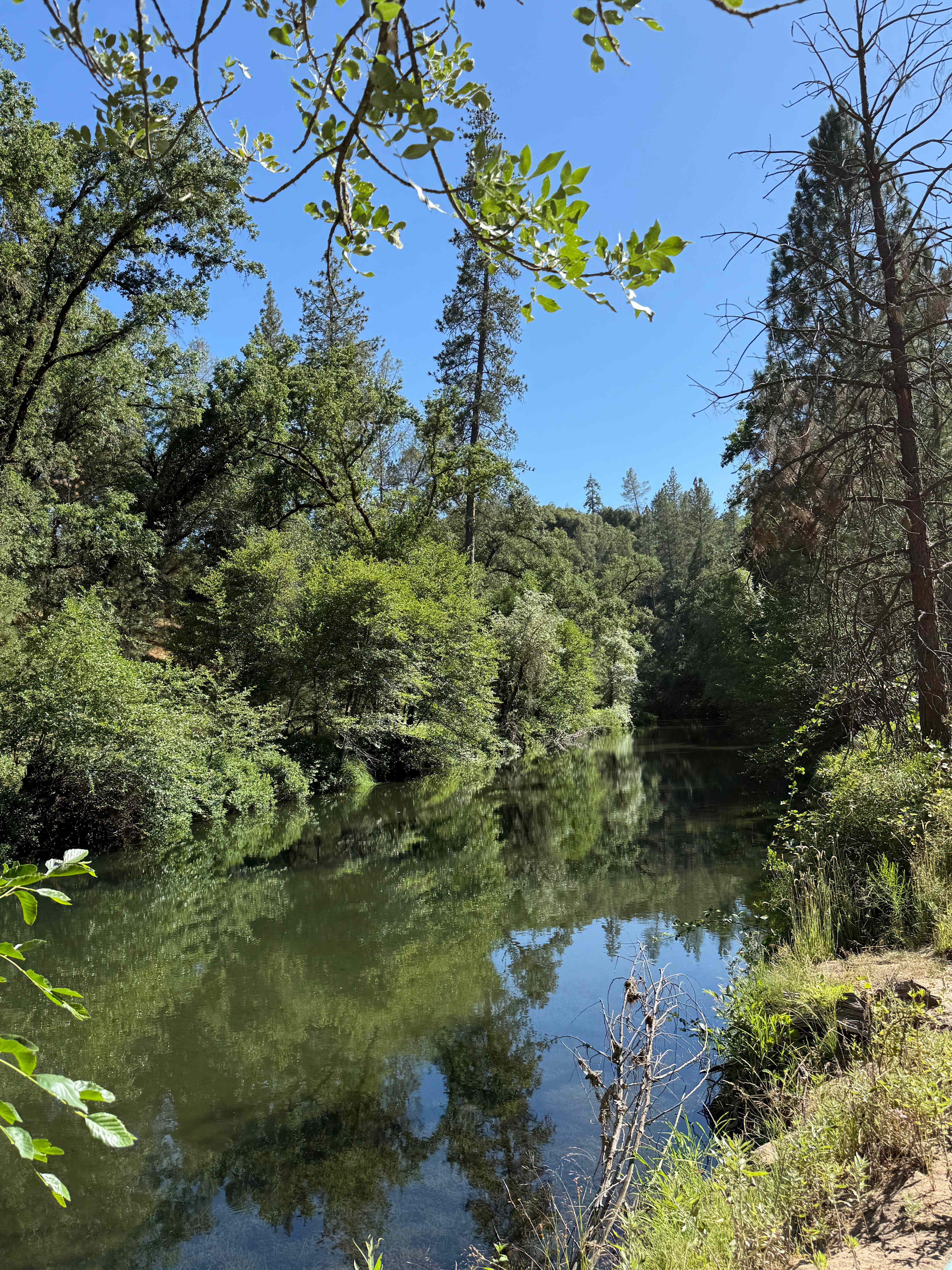 River Oaks Camp