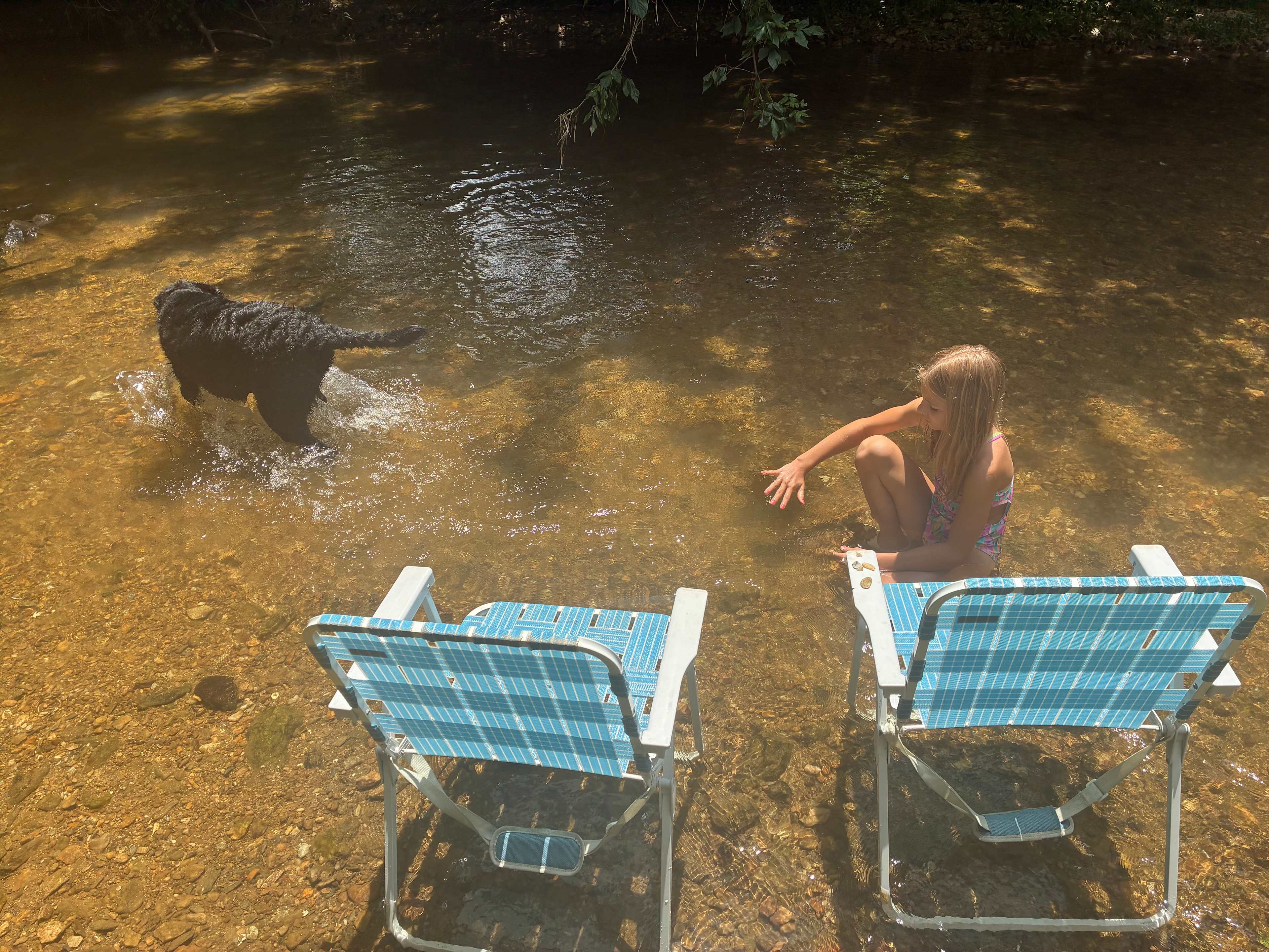 Conowingo Creek Campsite