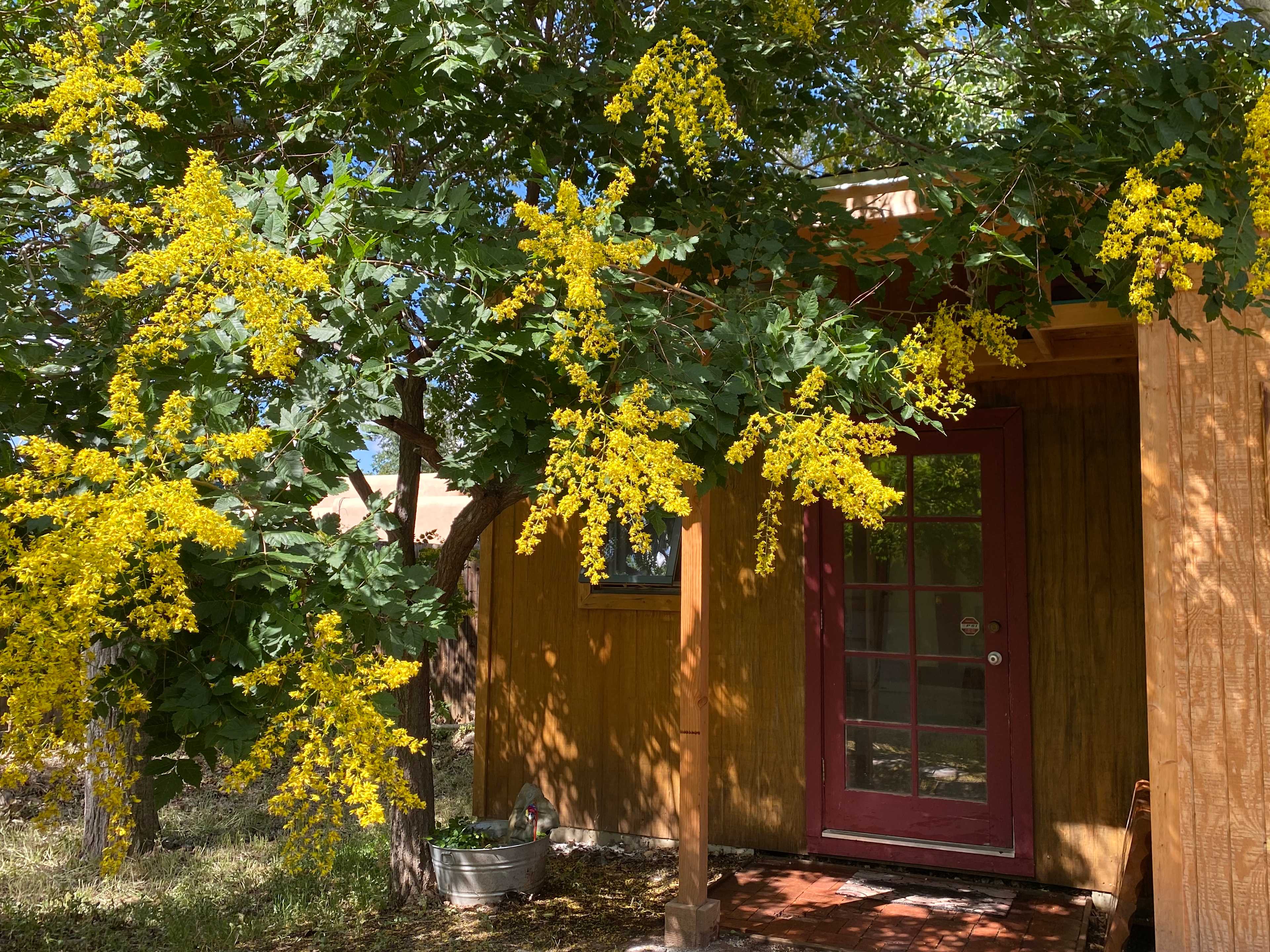 Artist Casita in the Trees