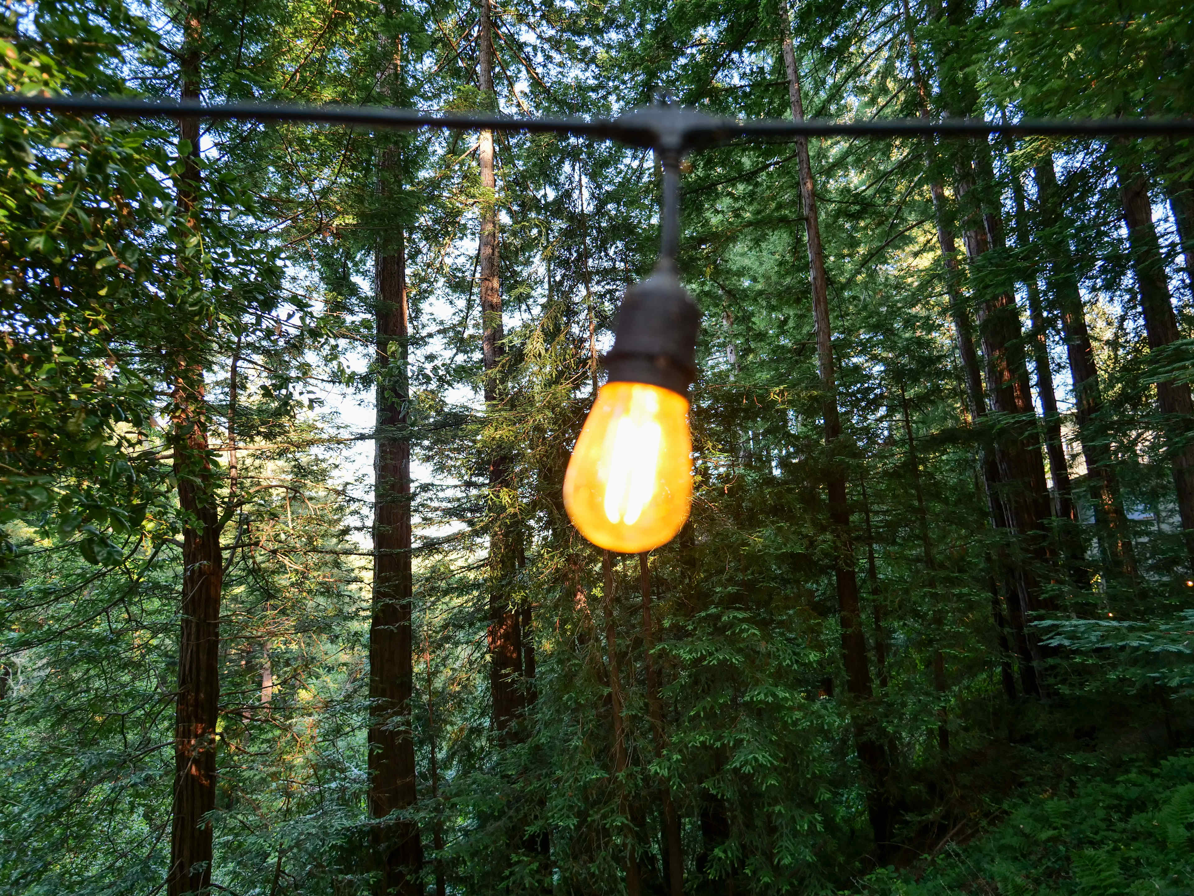 Fern Ridge Flats - Private Camping