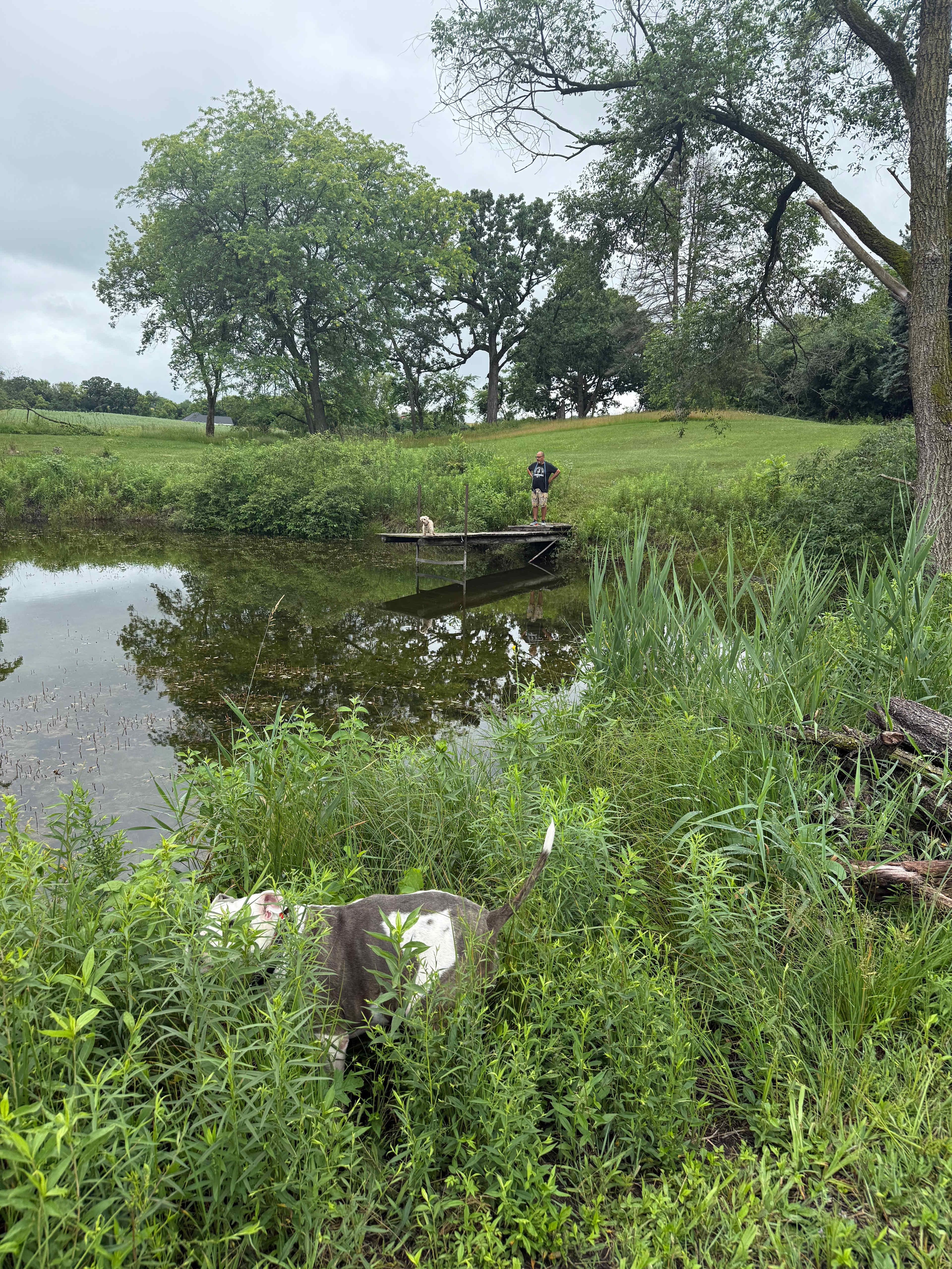 Pearl Forge Conservancy