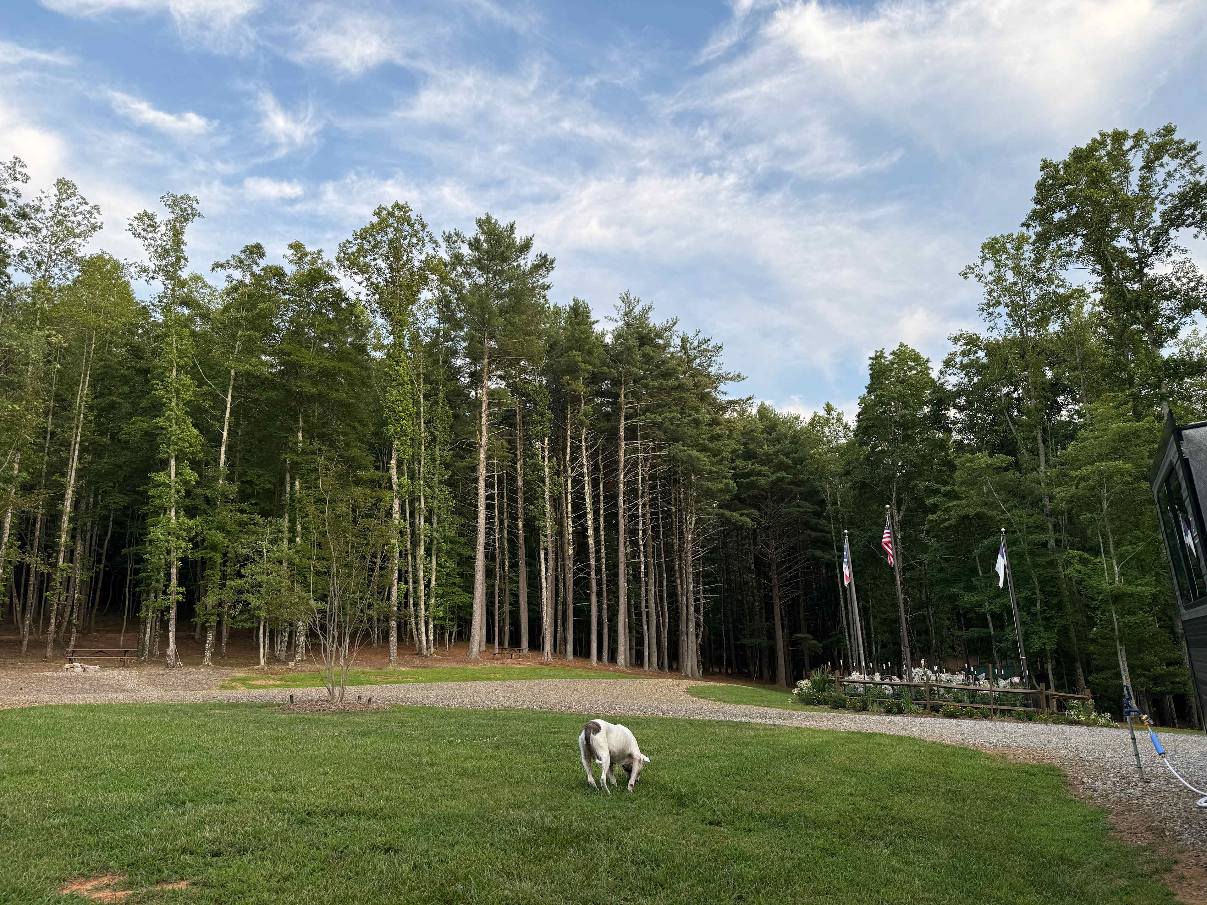 Mountain RV Pads Full Hookup