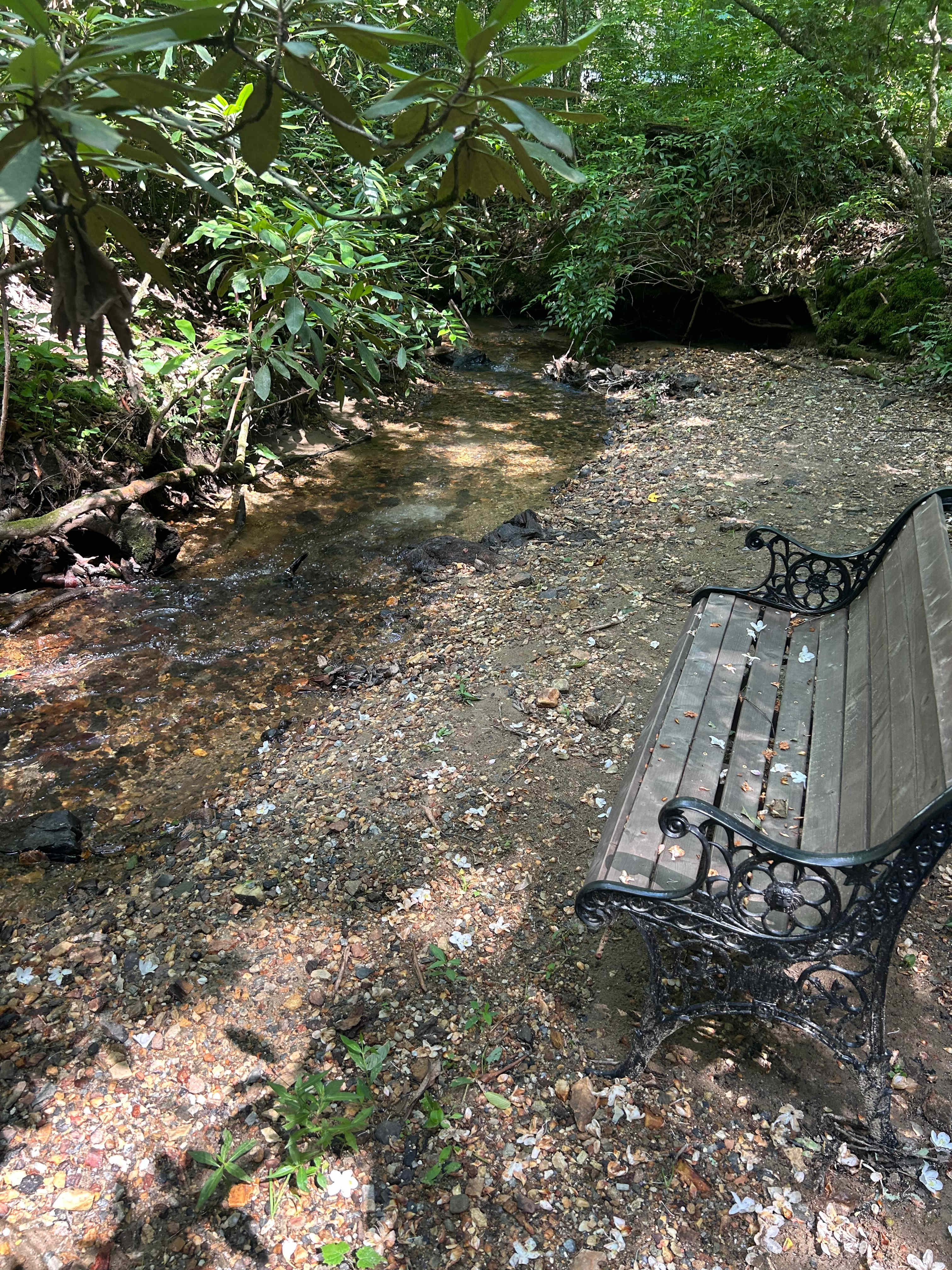 Peace Of Pisgah