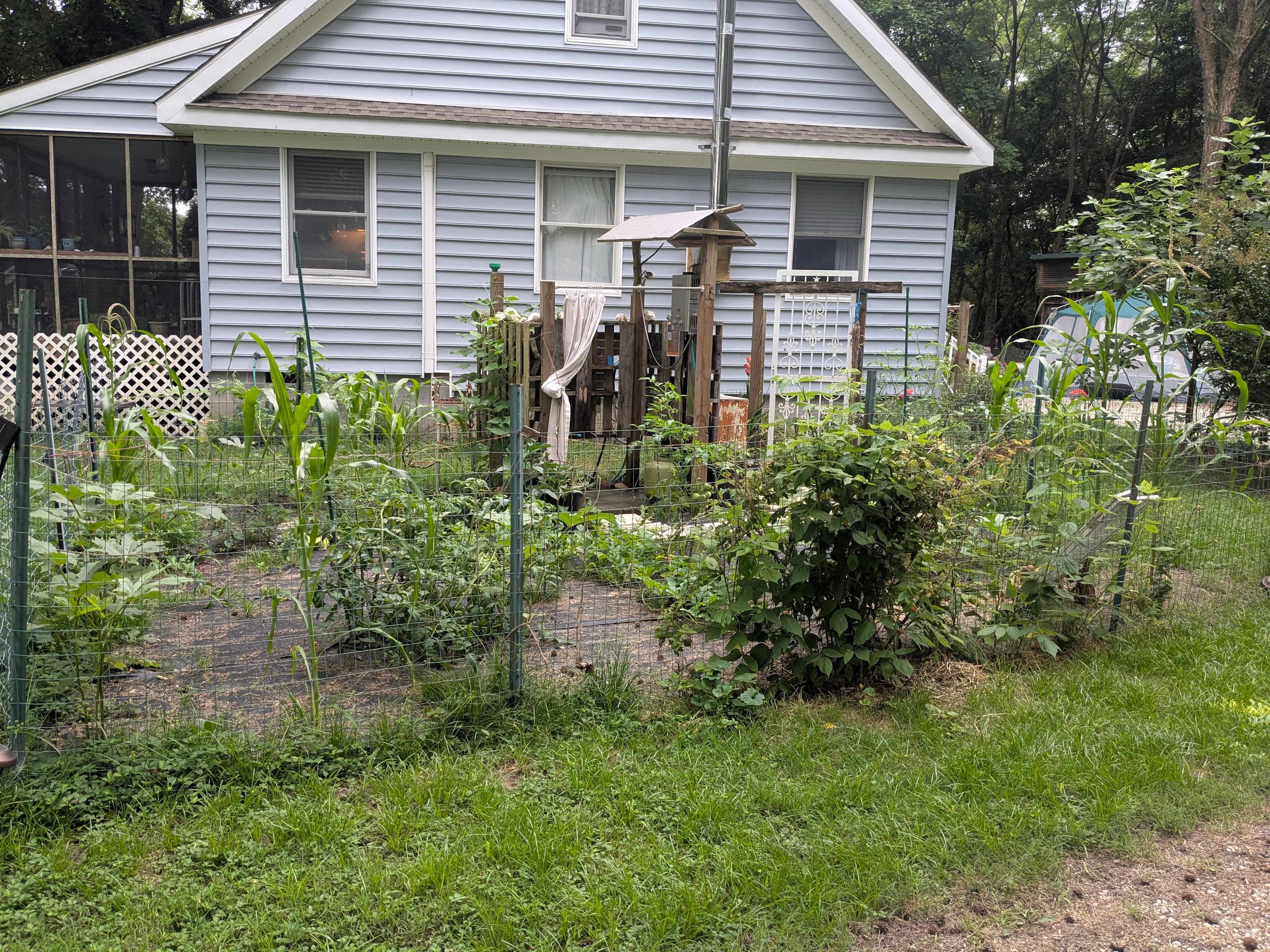 Outdoor shower in the garden to recycle water for plants.  
