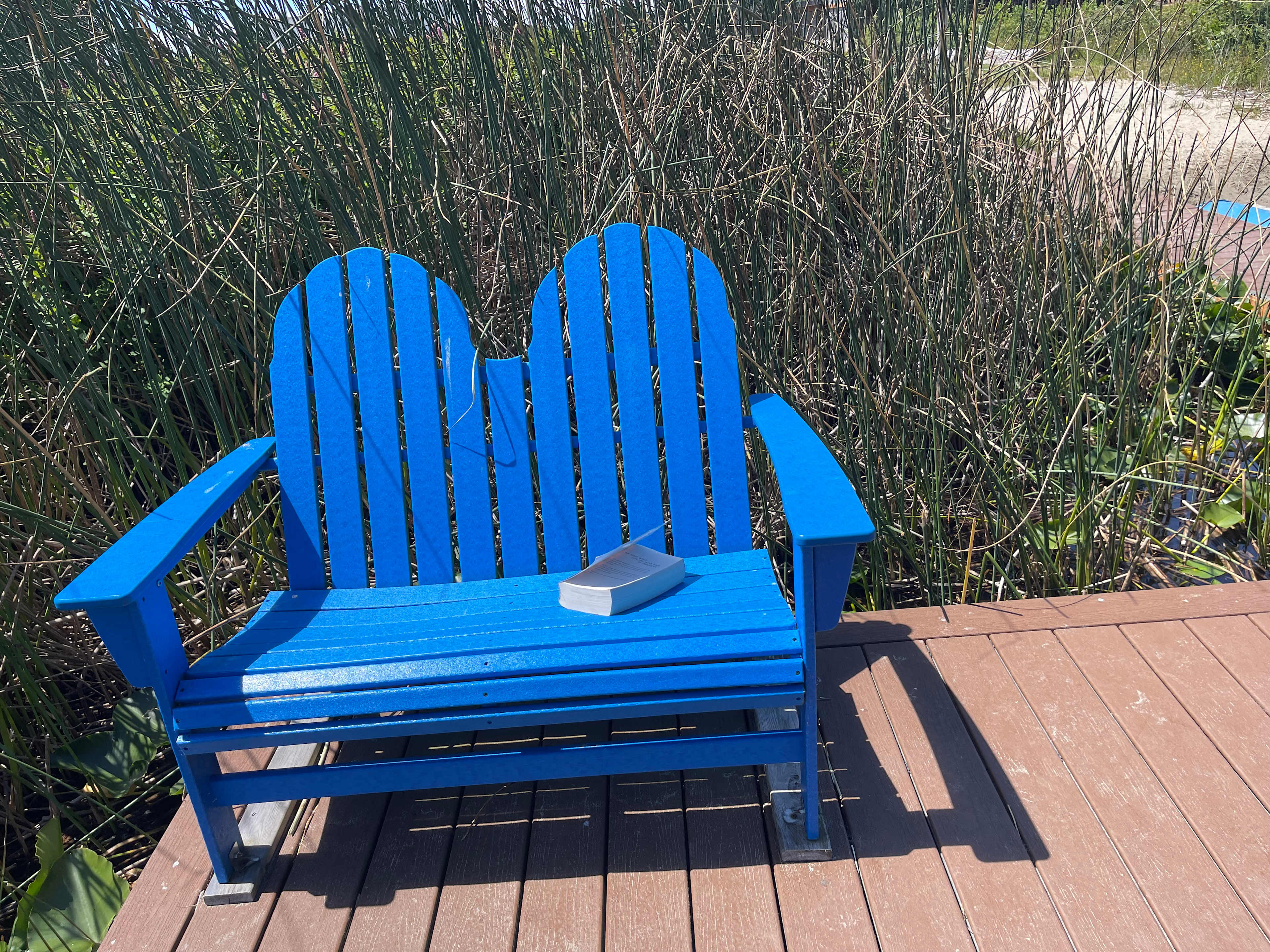 Wonderful reading spot.
