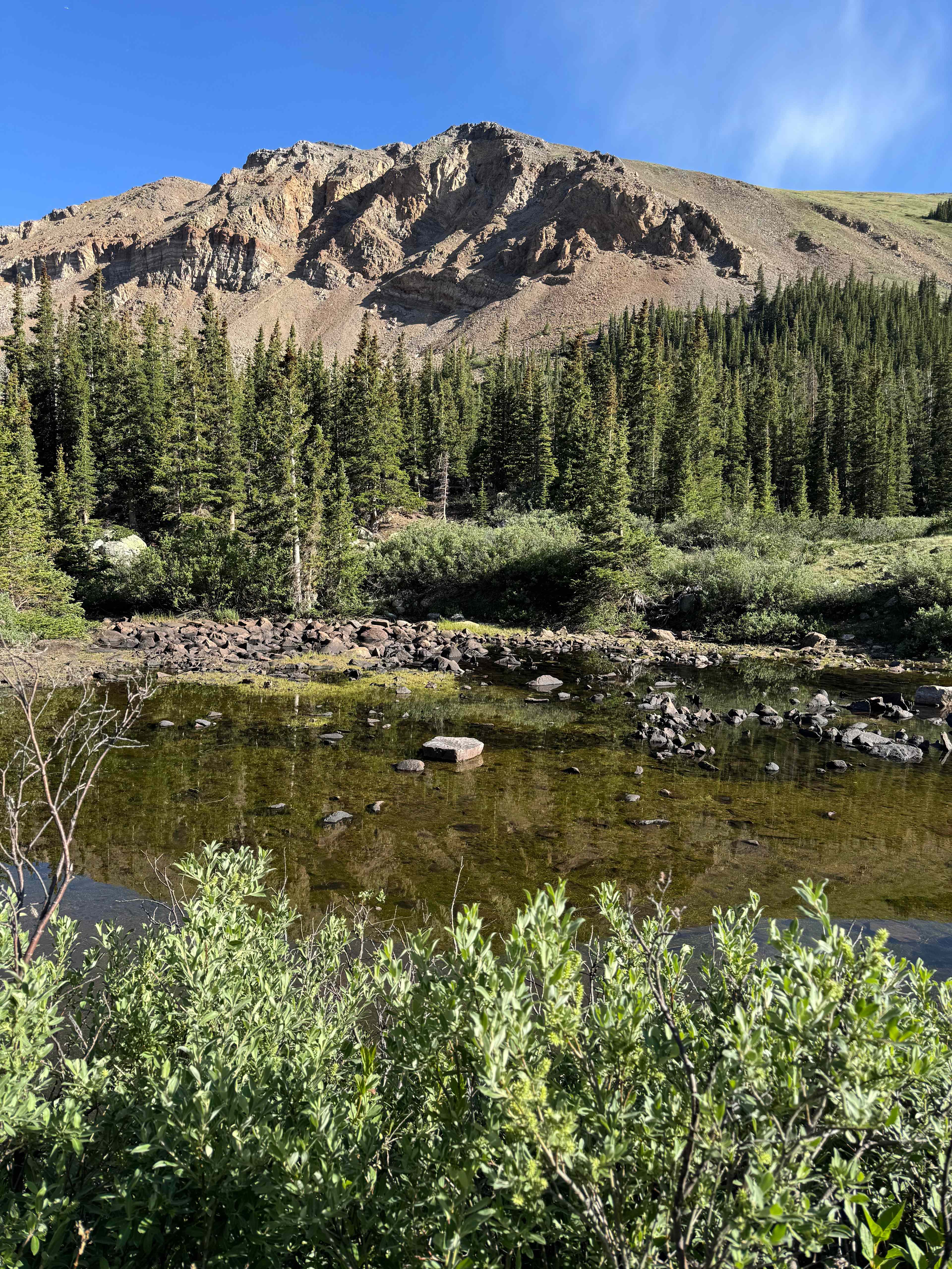 Wandering Moose Meadows