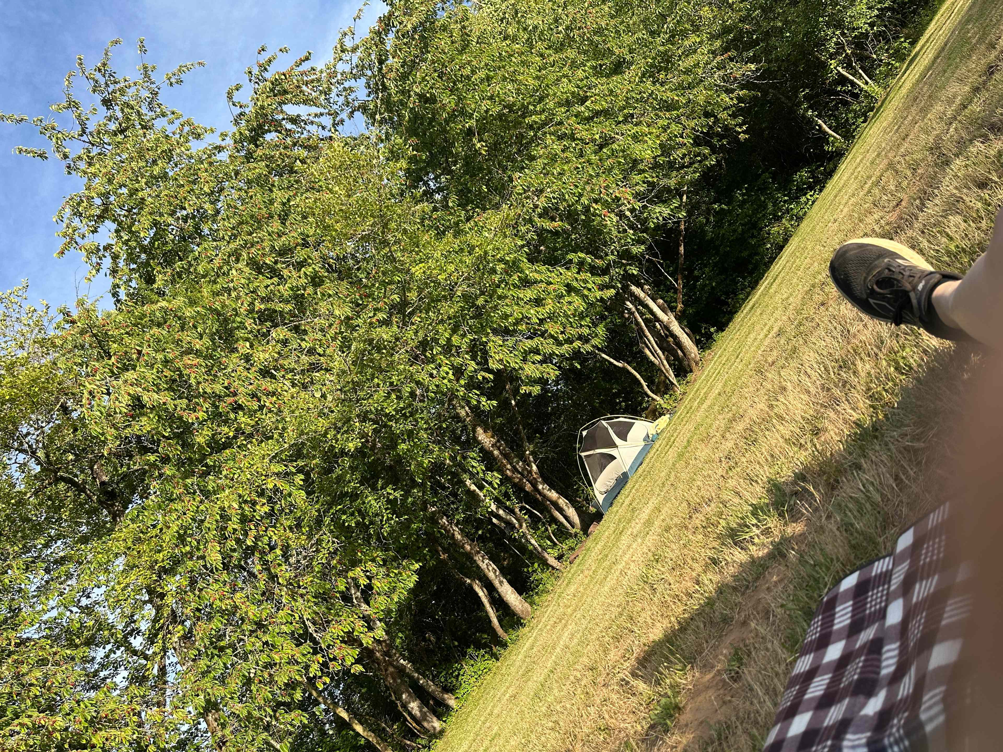 🌿 Viridia Acres 🌿