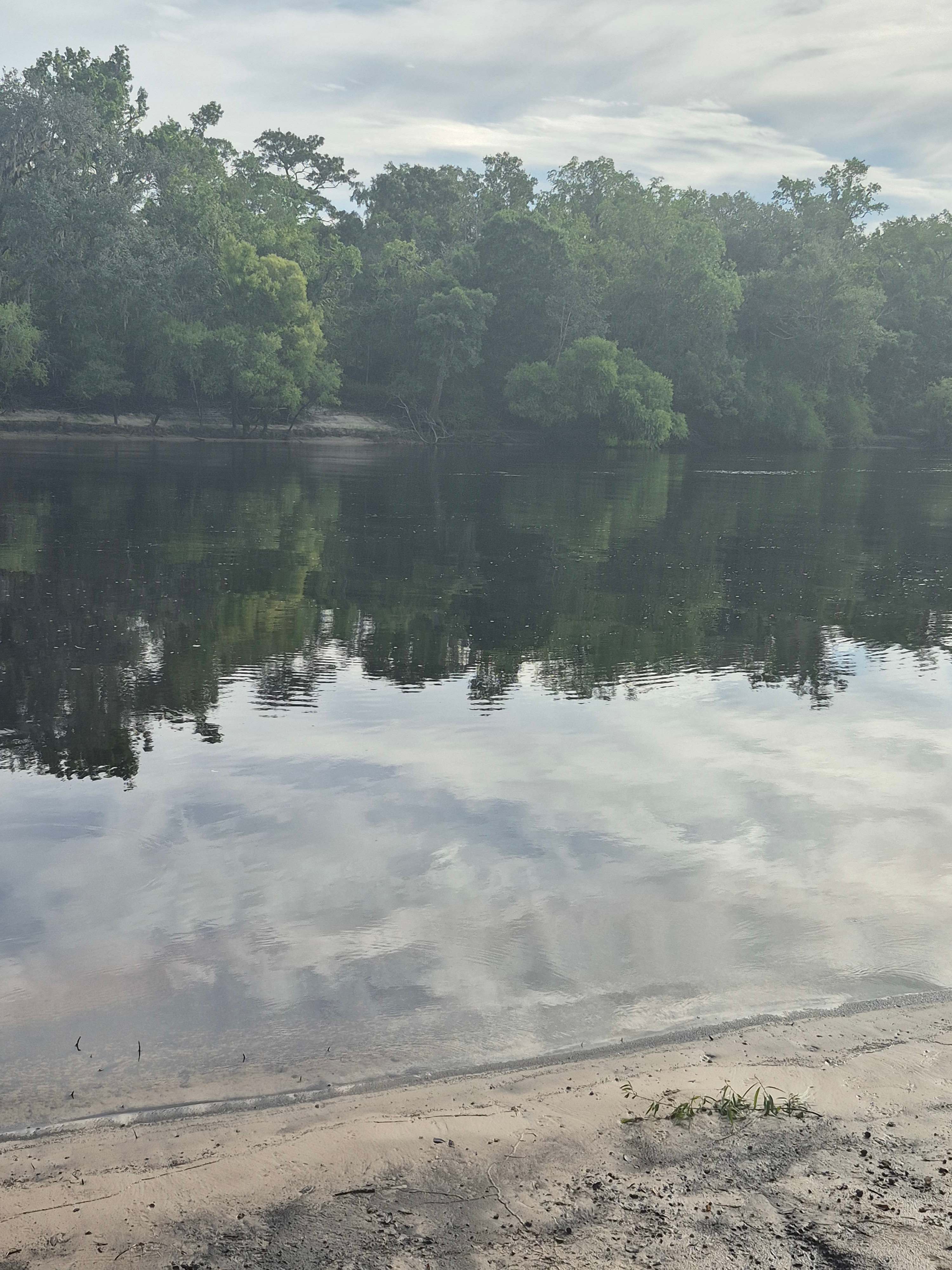 Suwannee River Green Acres