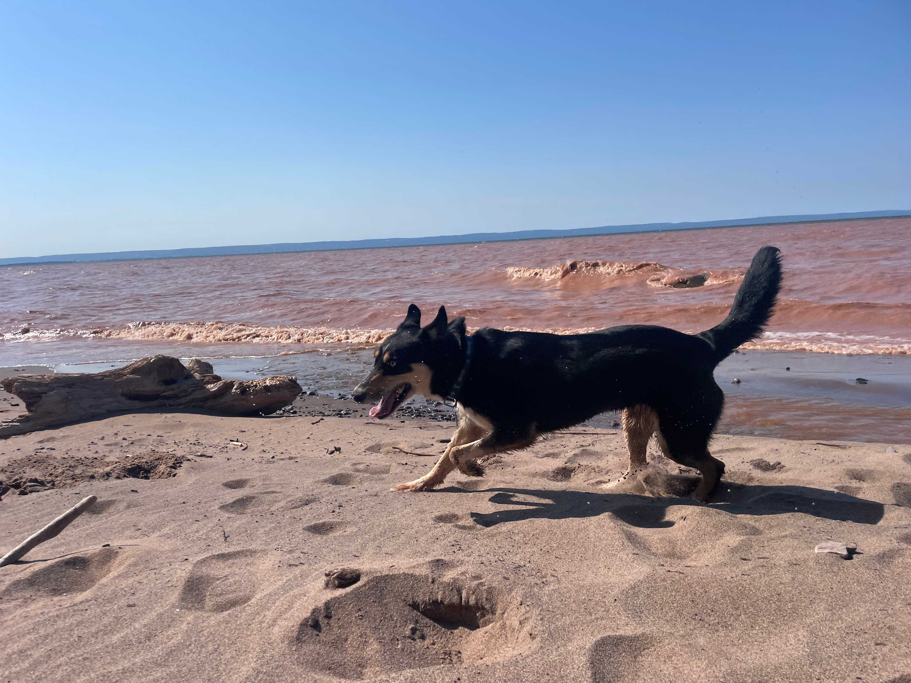 Superior Beach Camp