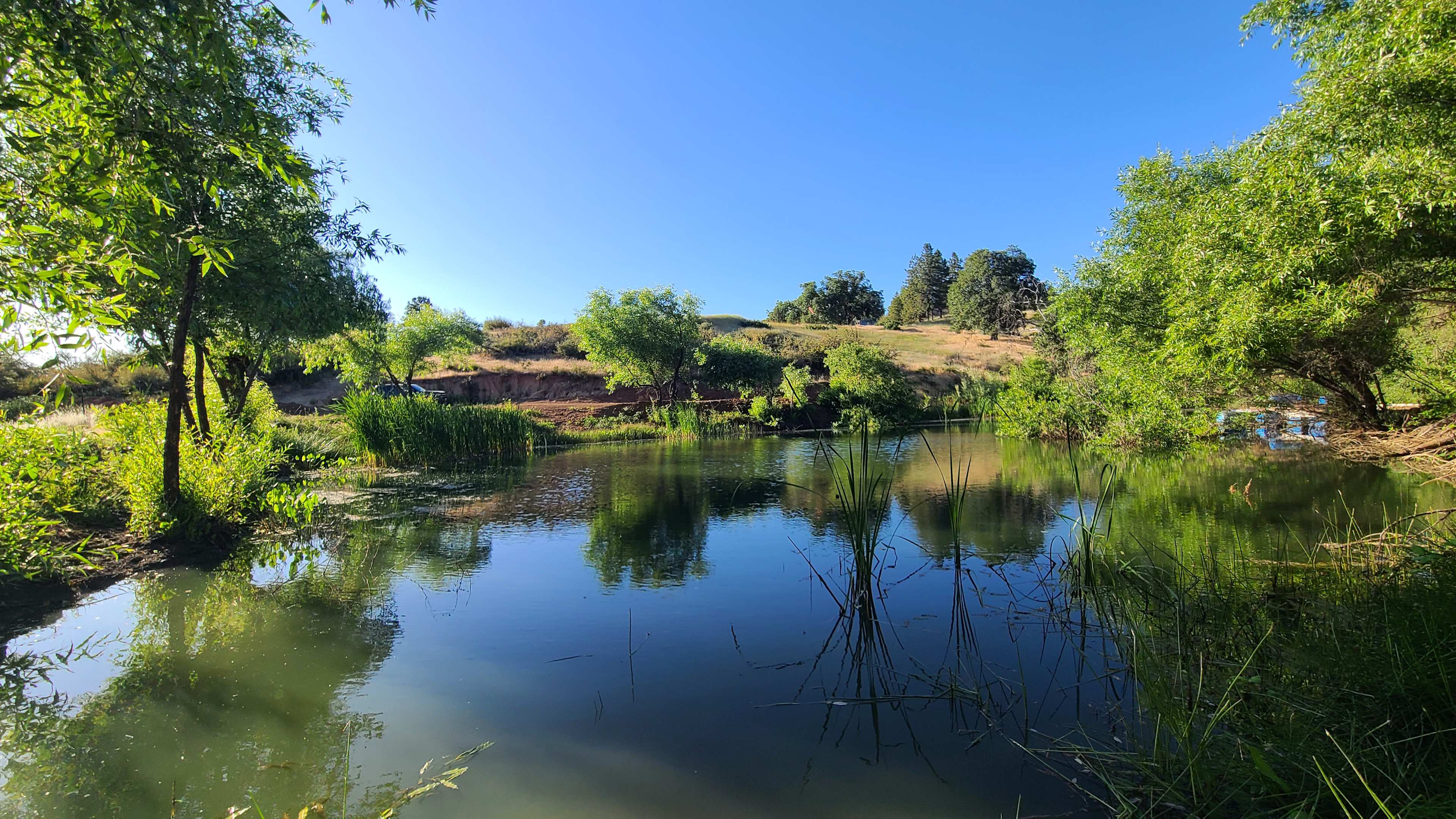 Sequoia Mountain Farms