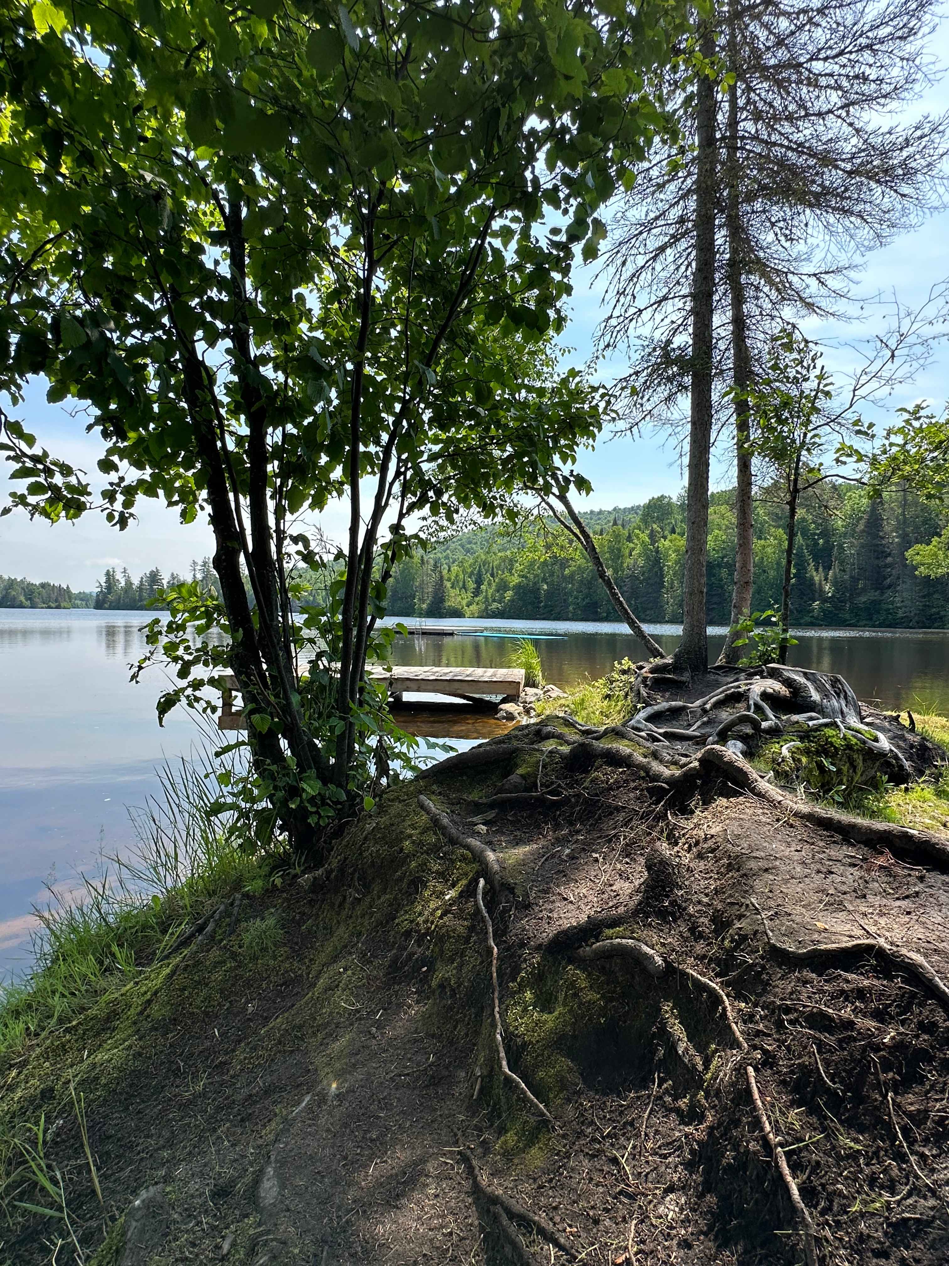 Point at Bangs Bay (not part of the trail)