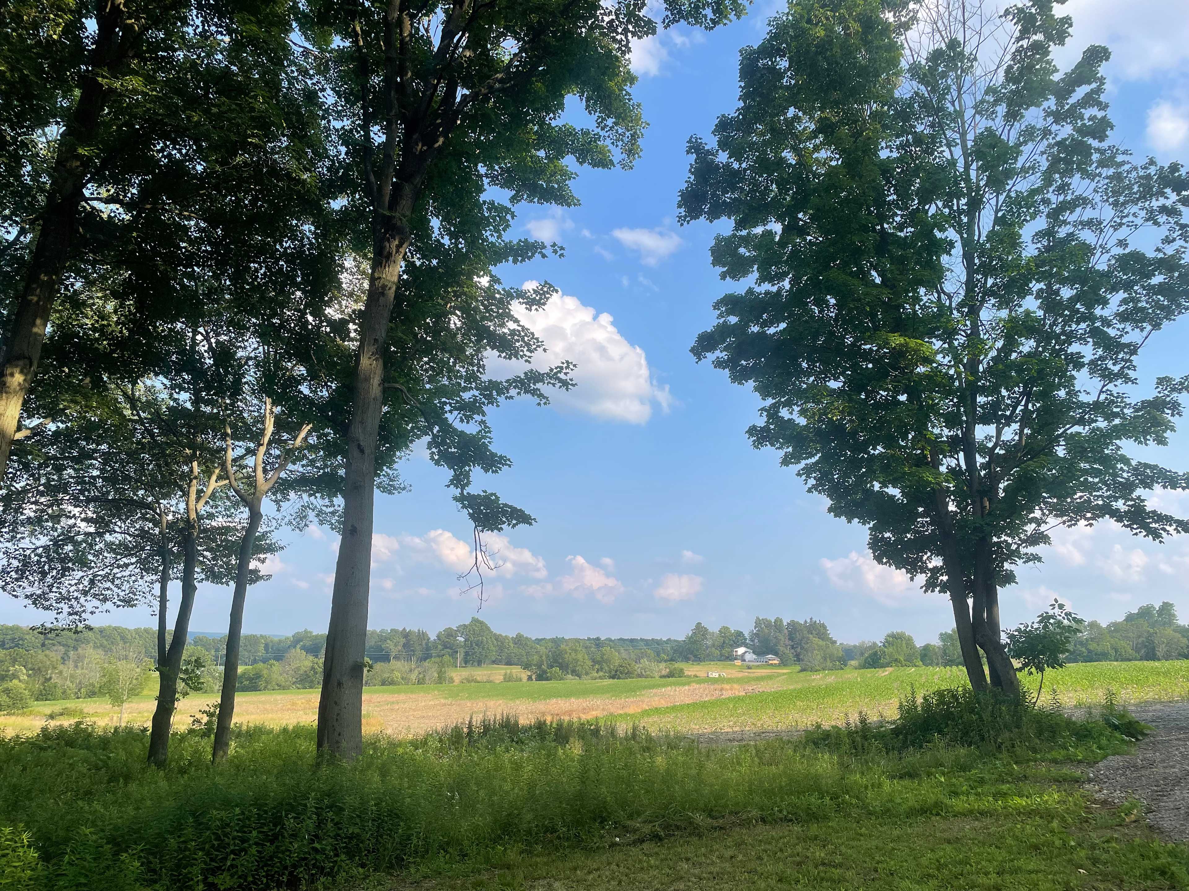 McCormick Farms Base Camp