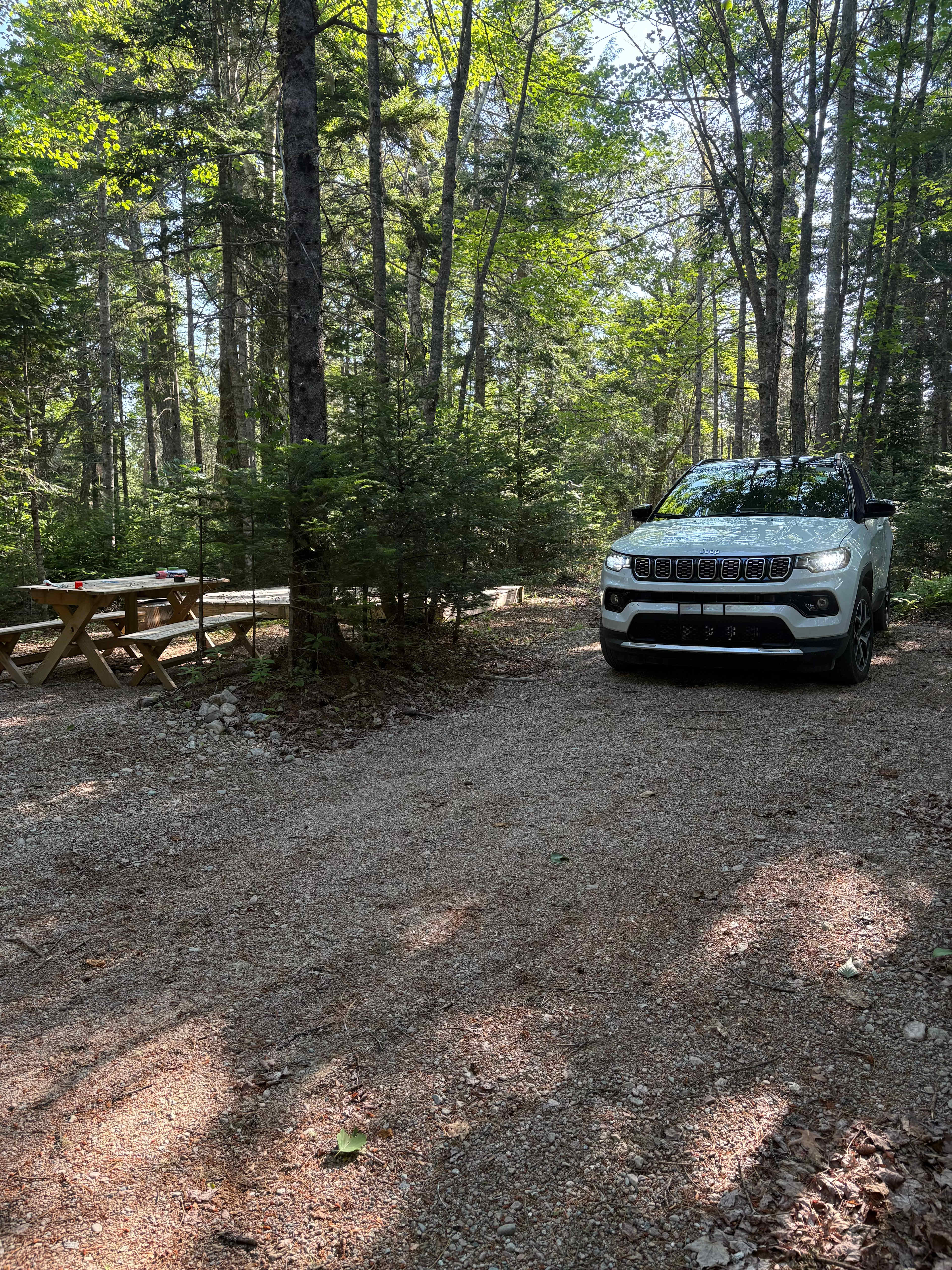 Camp Site #3 - Just enough space to back in this Jeep - I took this picture from the road leading up to the site. The outhouses are about 15 steps from where I'm standing & I had them to myself for my stay