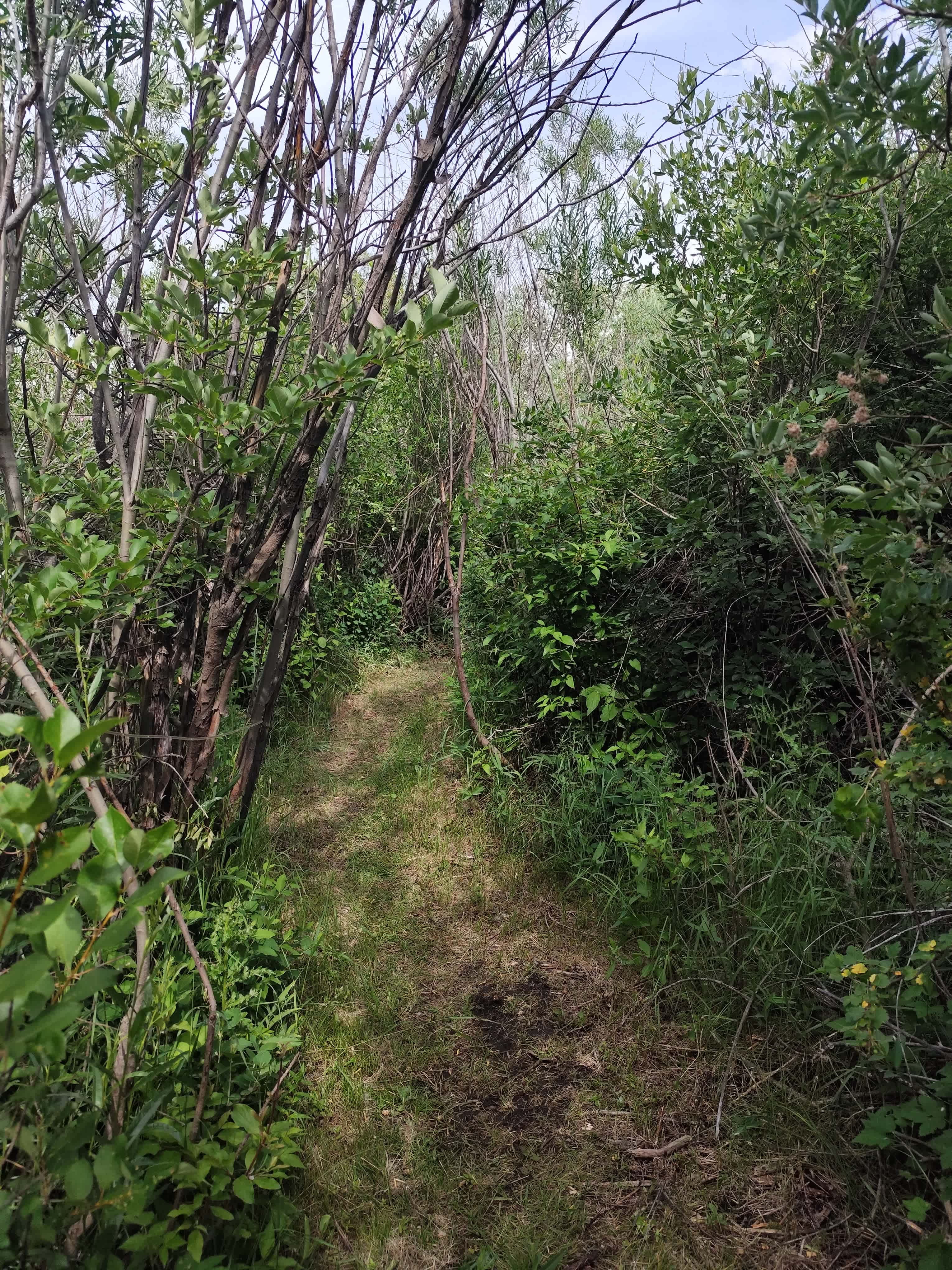 Miner Creek Campground