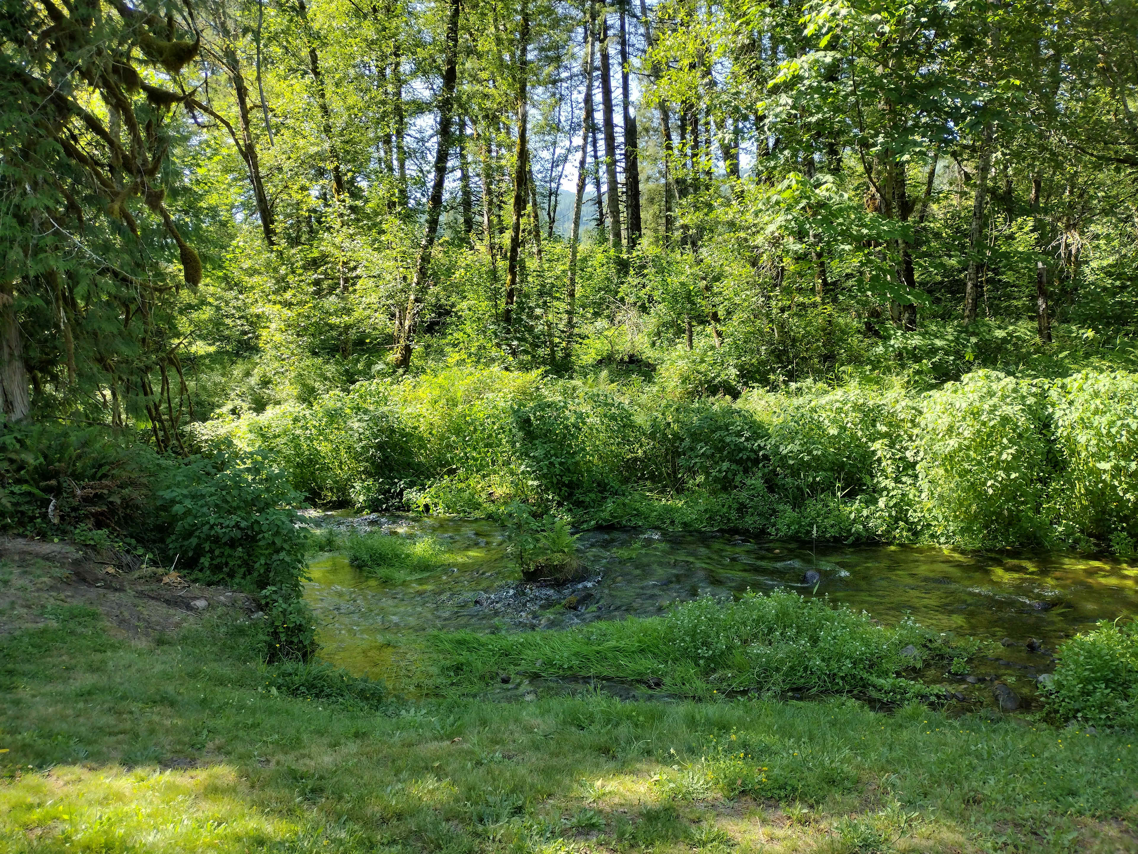 small creek, little-kid friendly