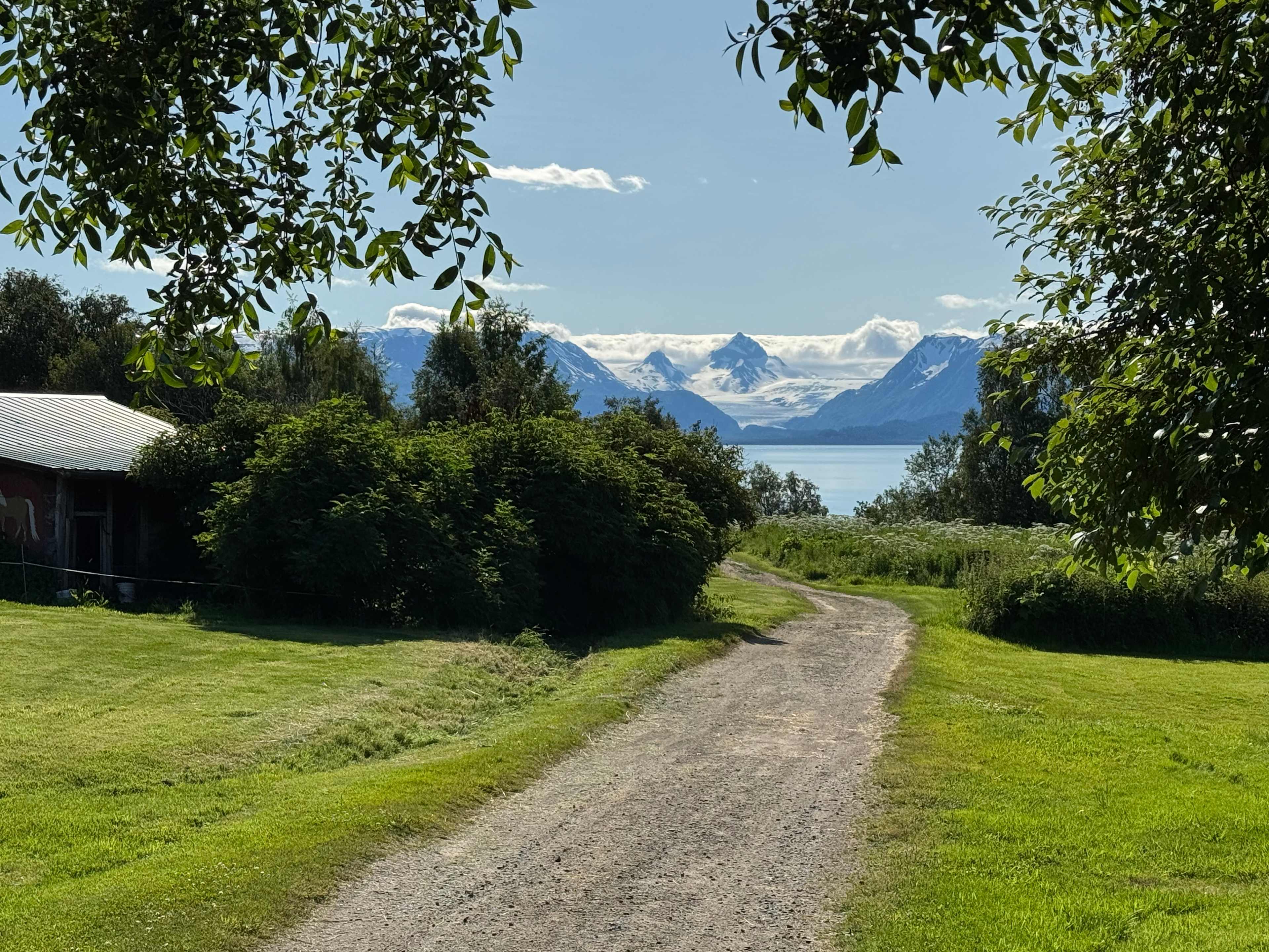 Driveway views