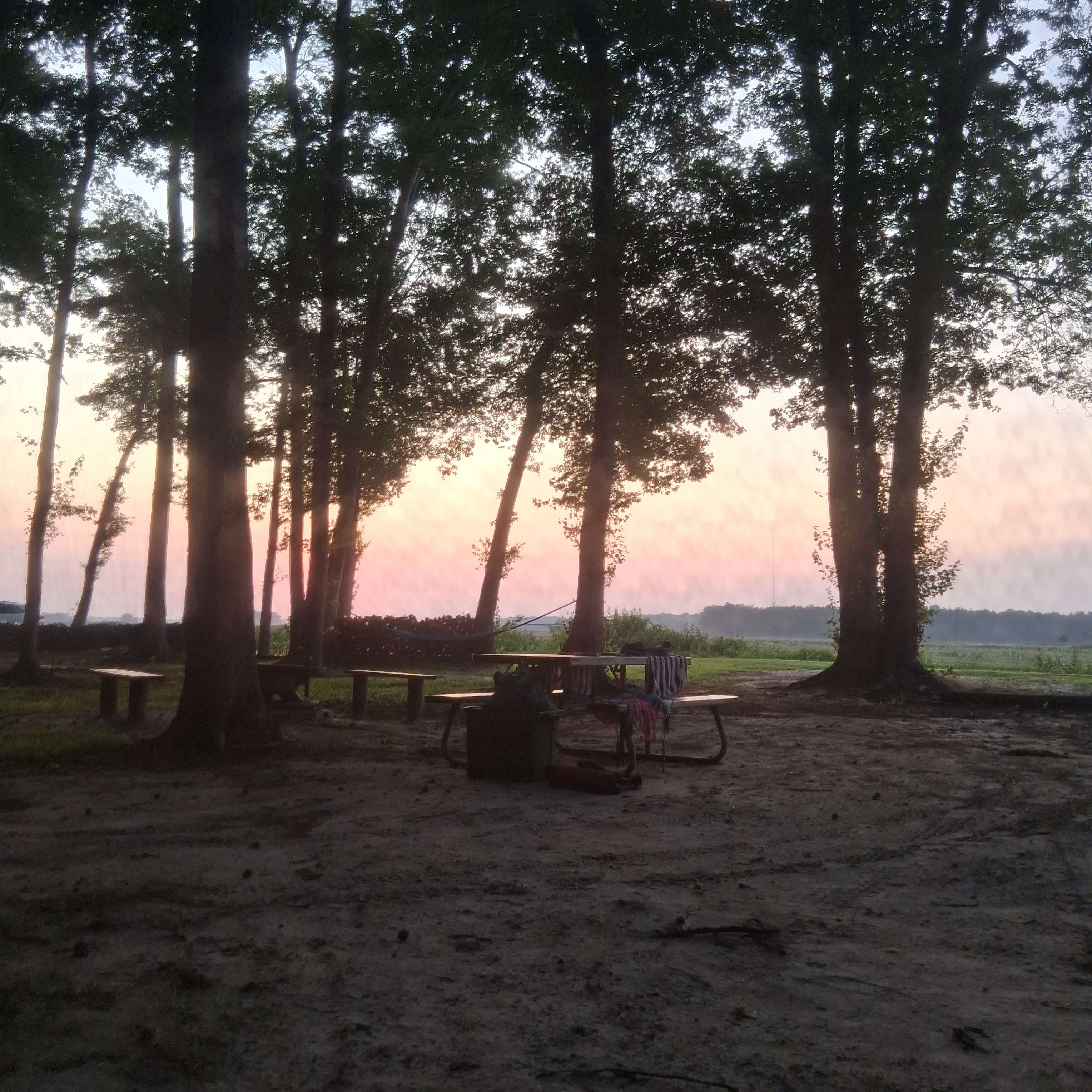Why Not Acres