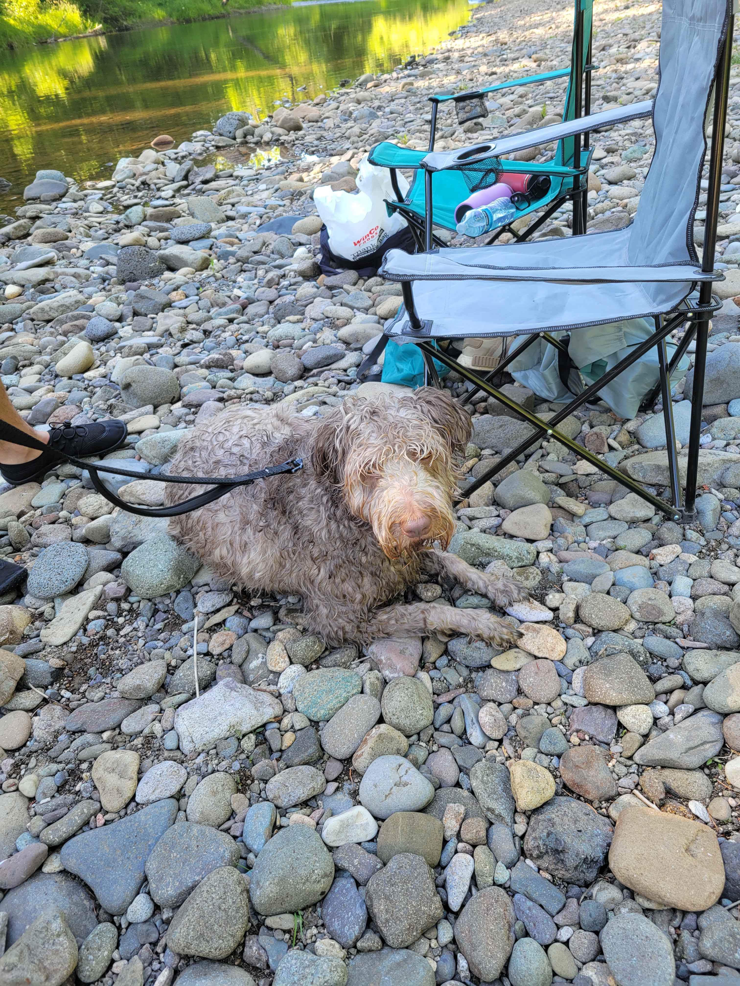 Theo's 1st time by the river...