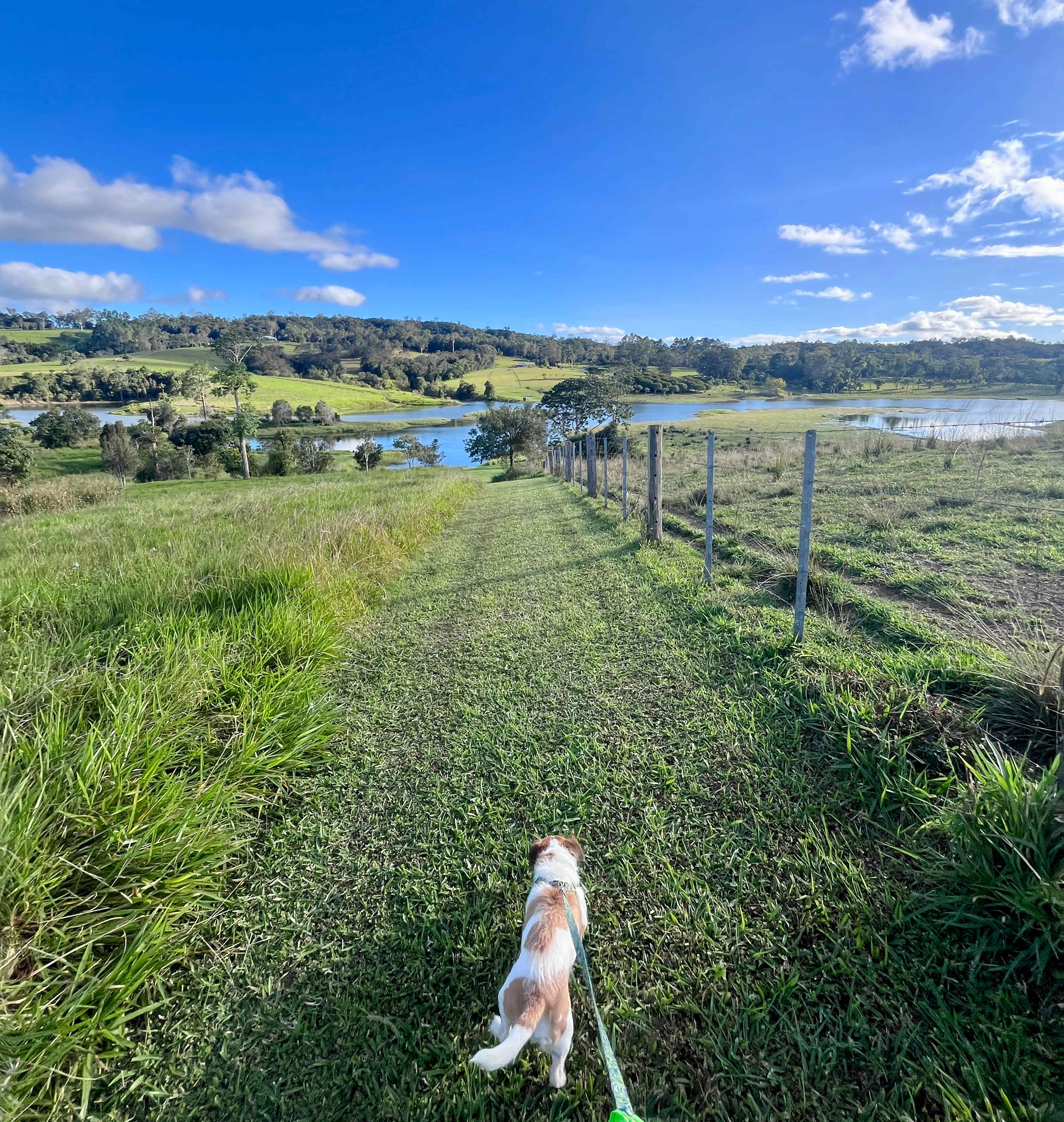 Wakana Ridge Homestead