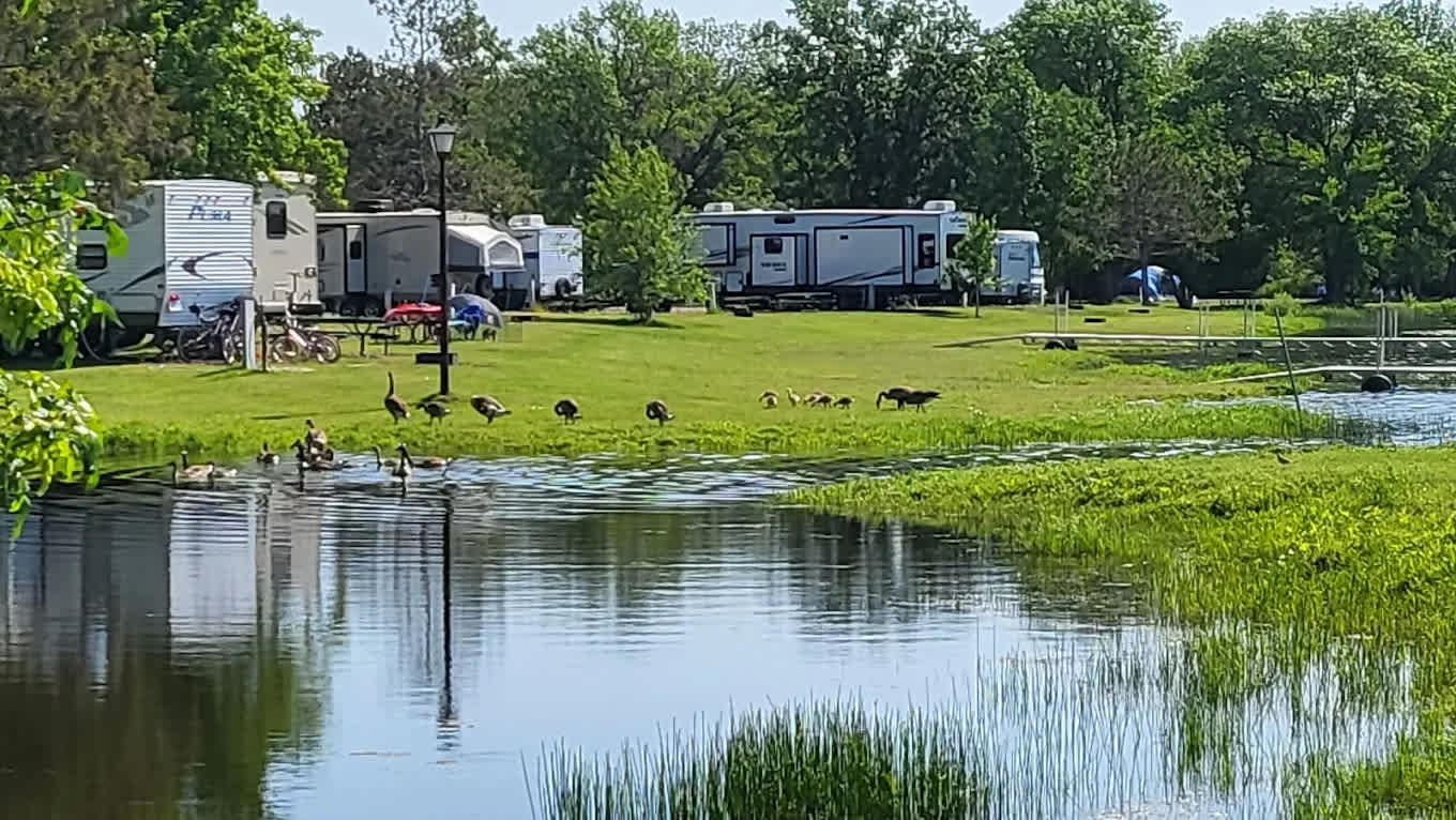 Moose Lake City Park
