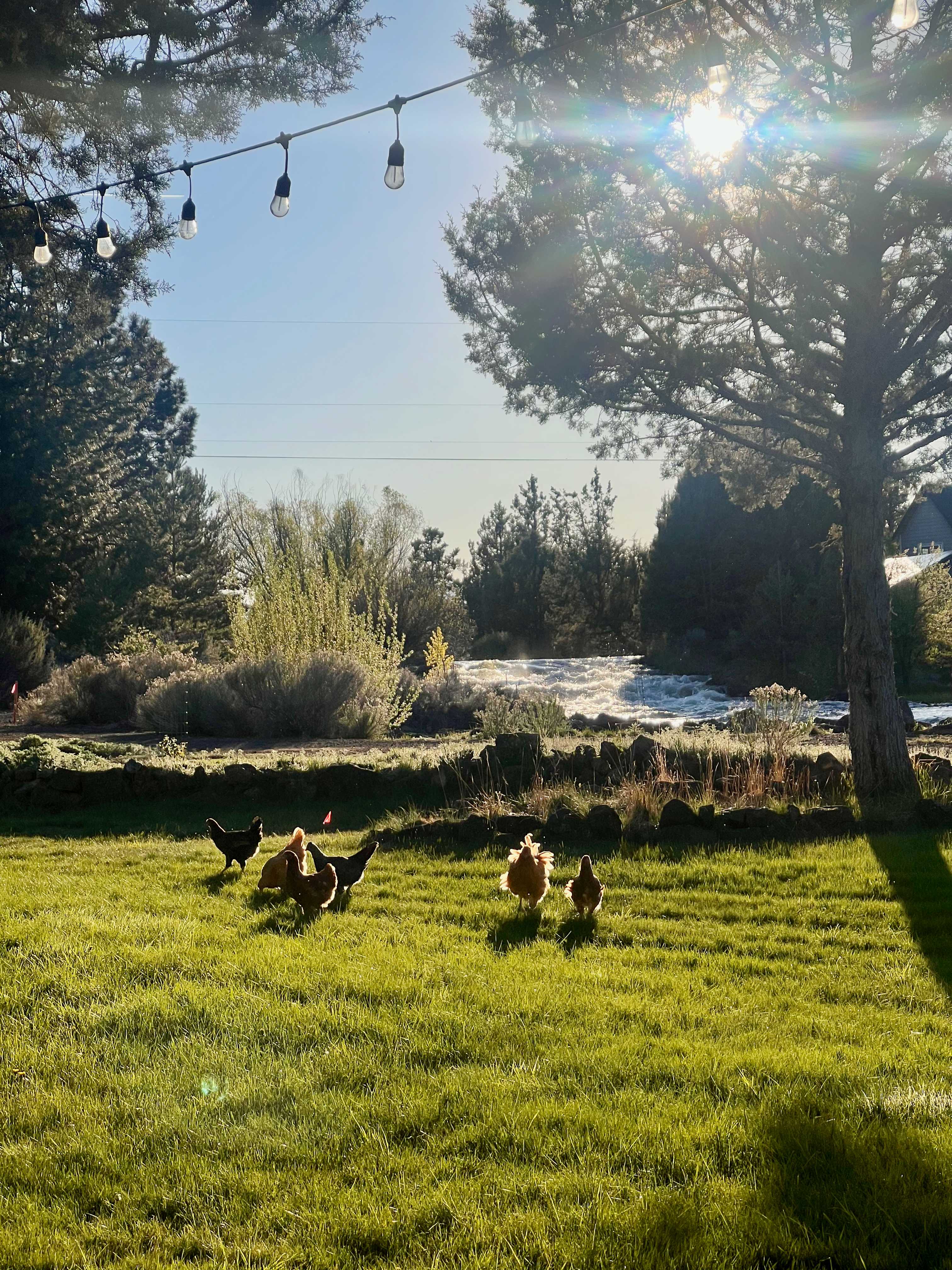 Bend Canal Mini-Farm