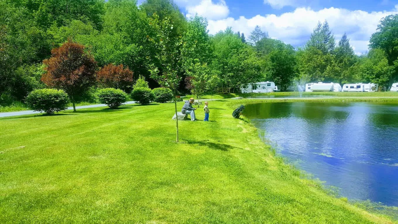 Russell Brook Campsites