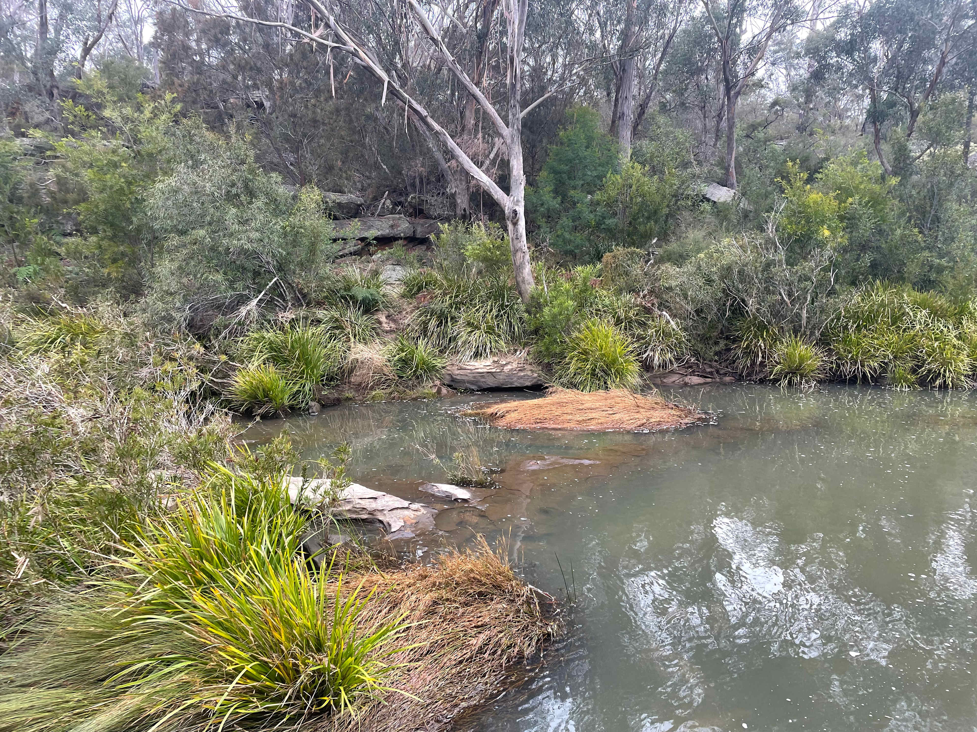 Rosewood Farm's Riverside Glamping