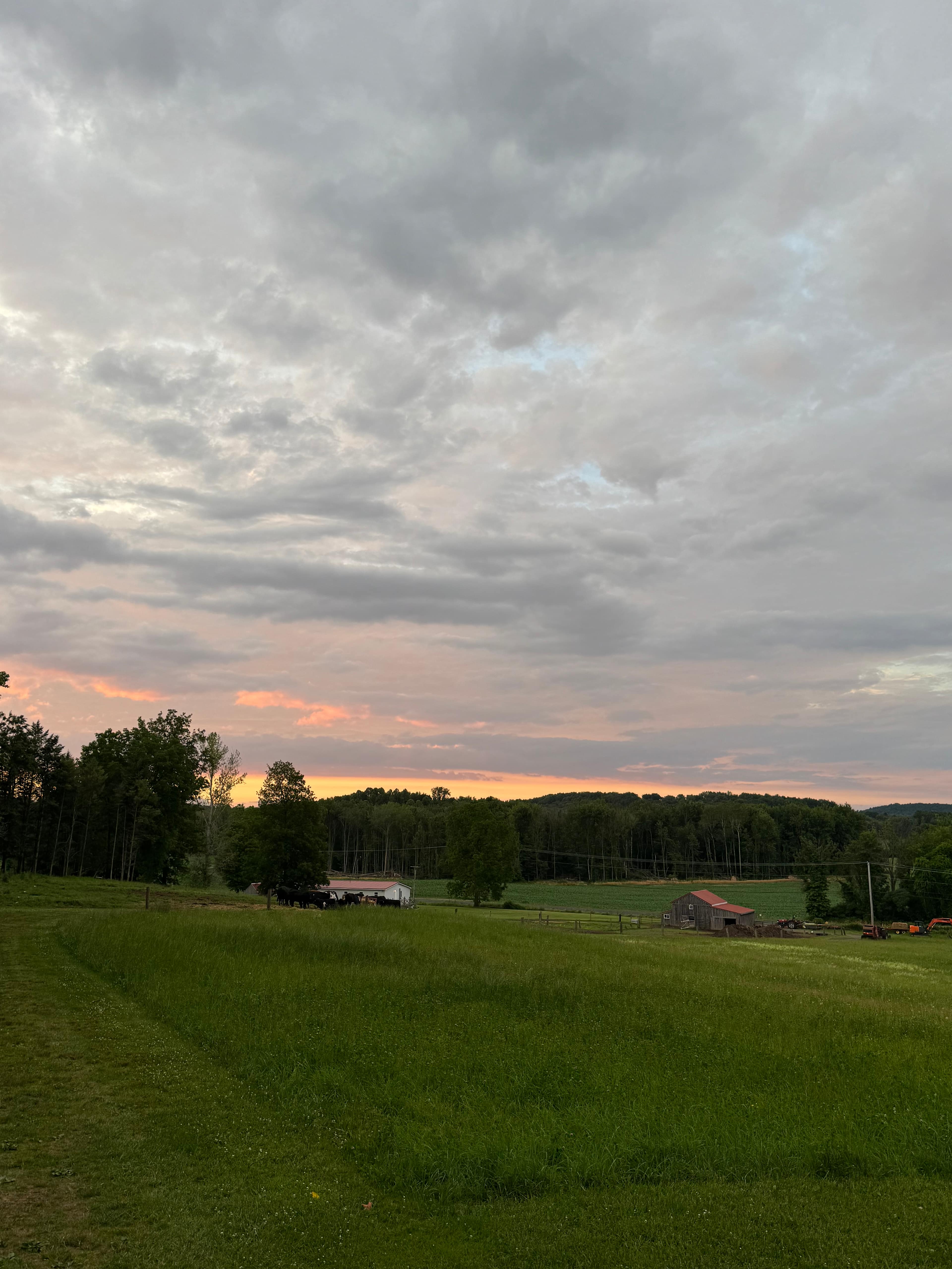 Spring lake retreat on the farm