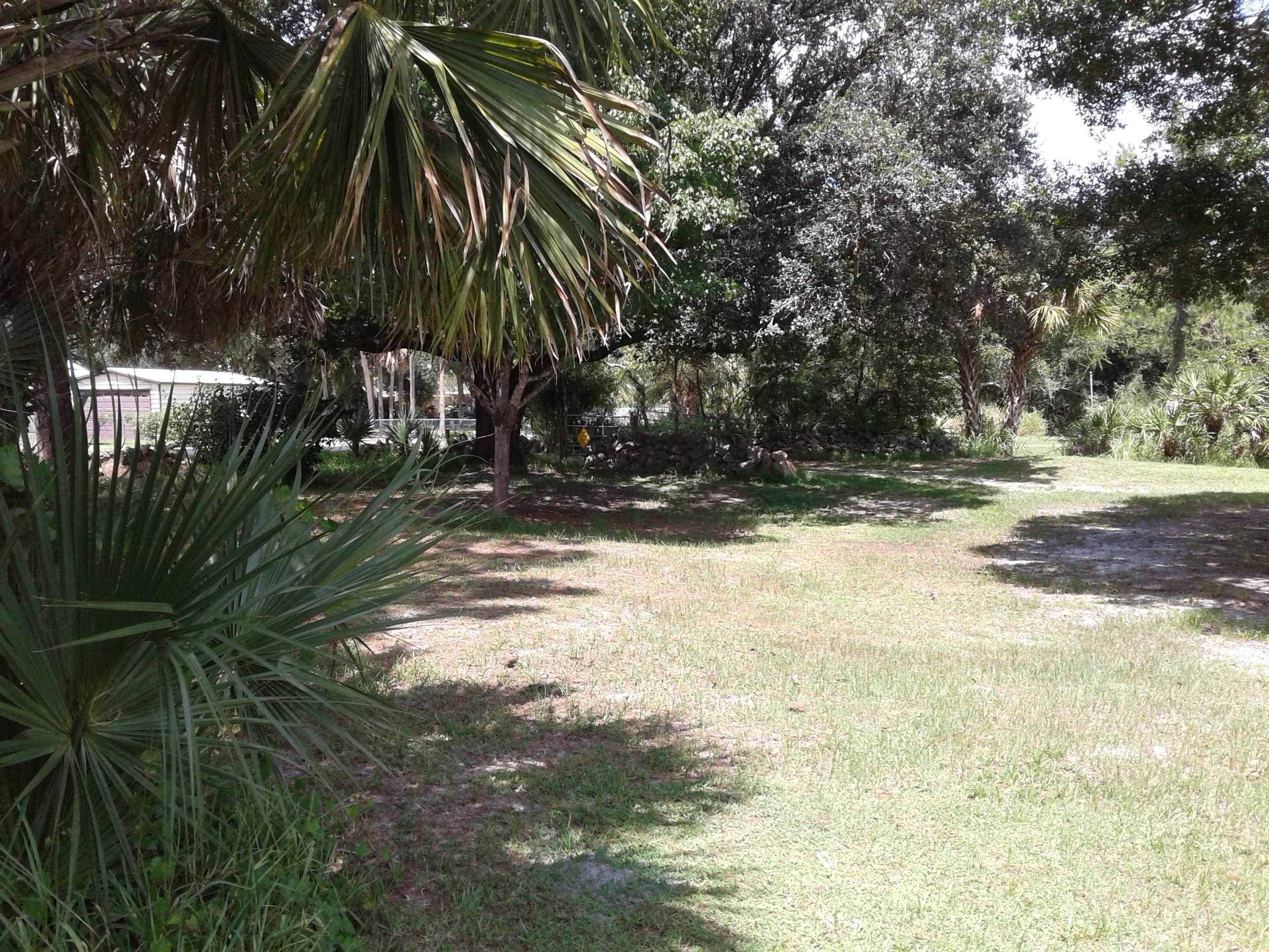 Grissome Pkwy. Launch View