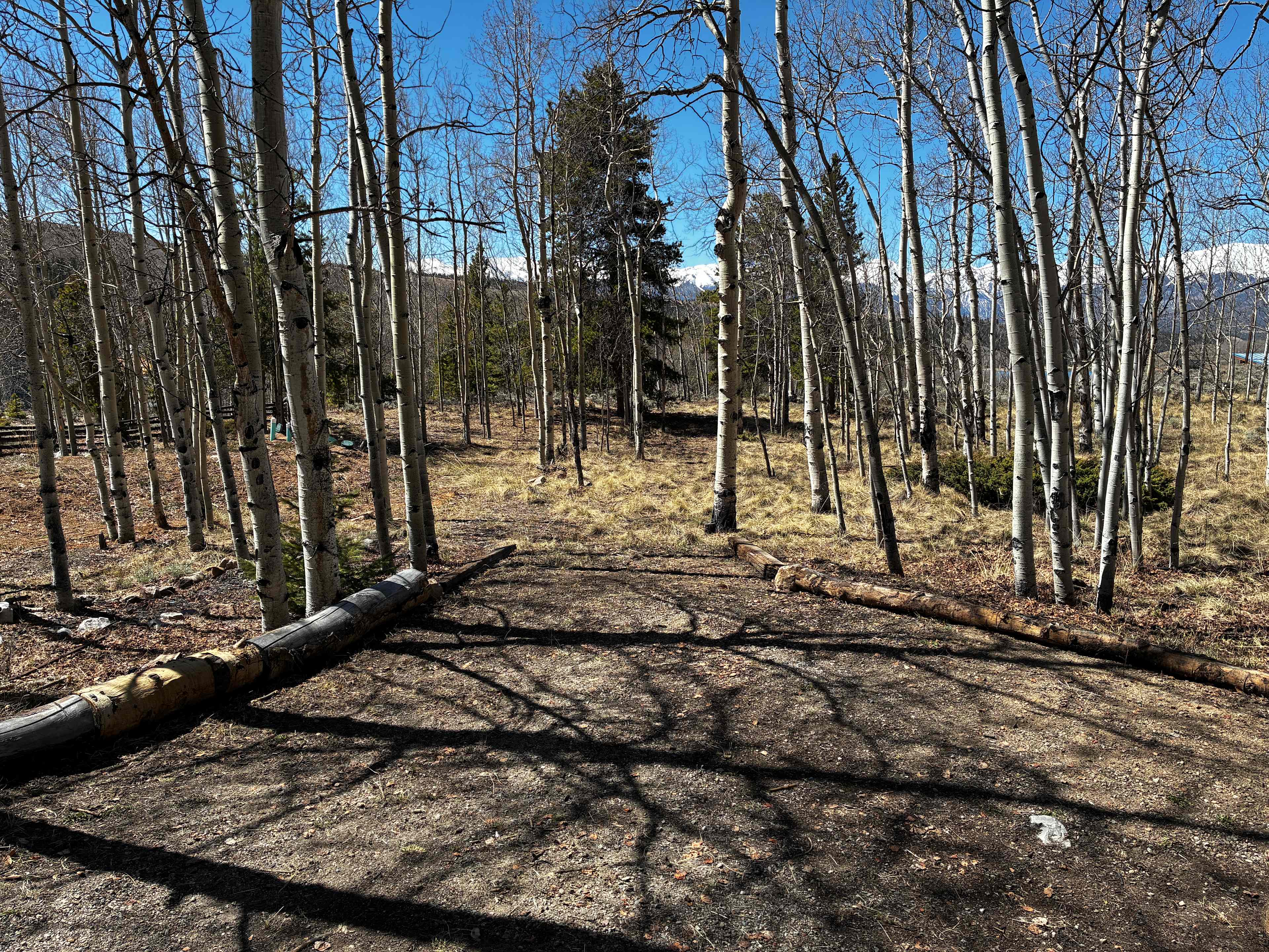 Leadville Oasis