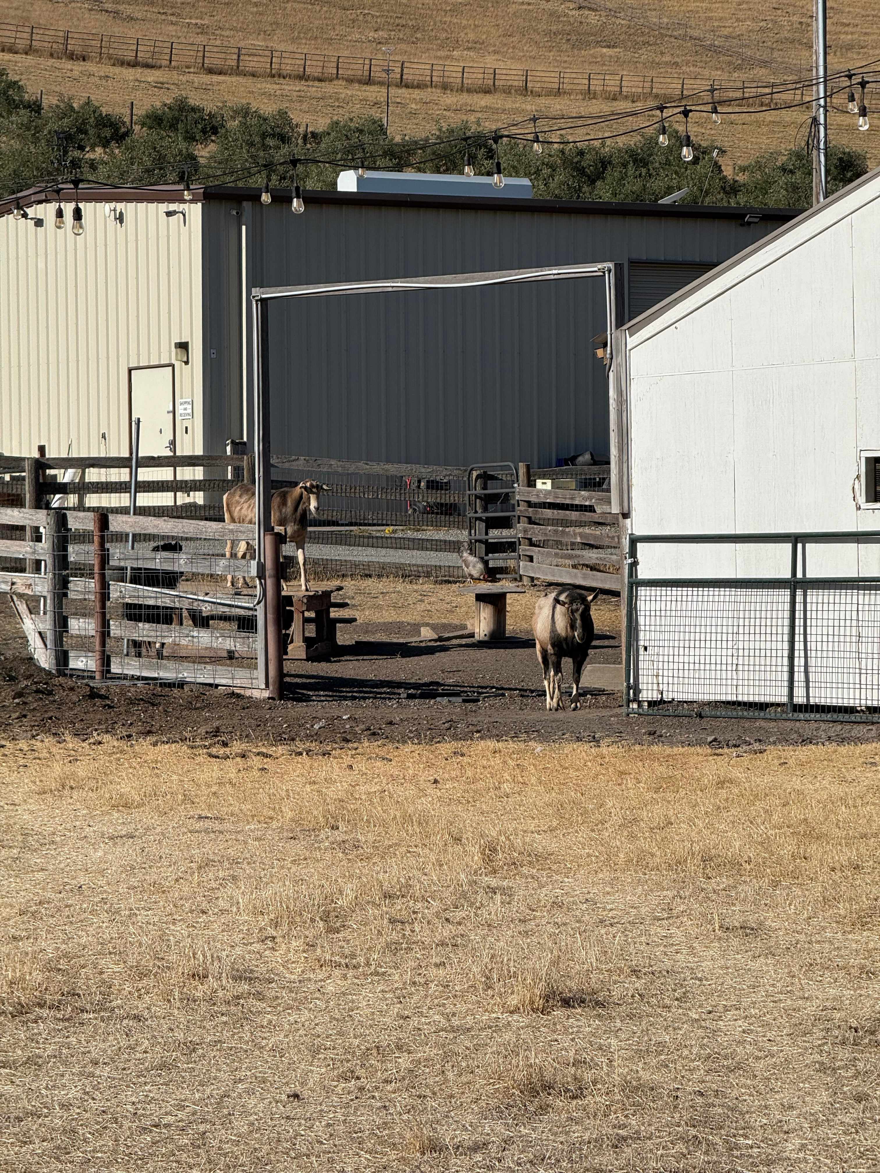 The Ranch at Cross Road