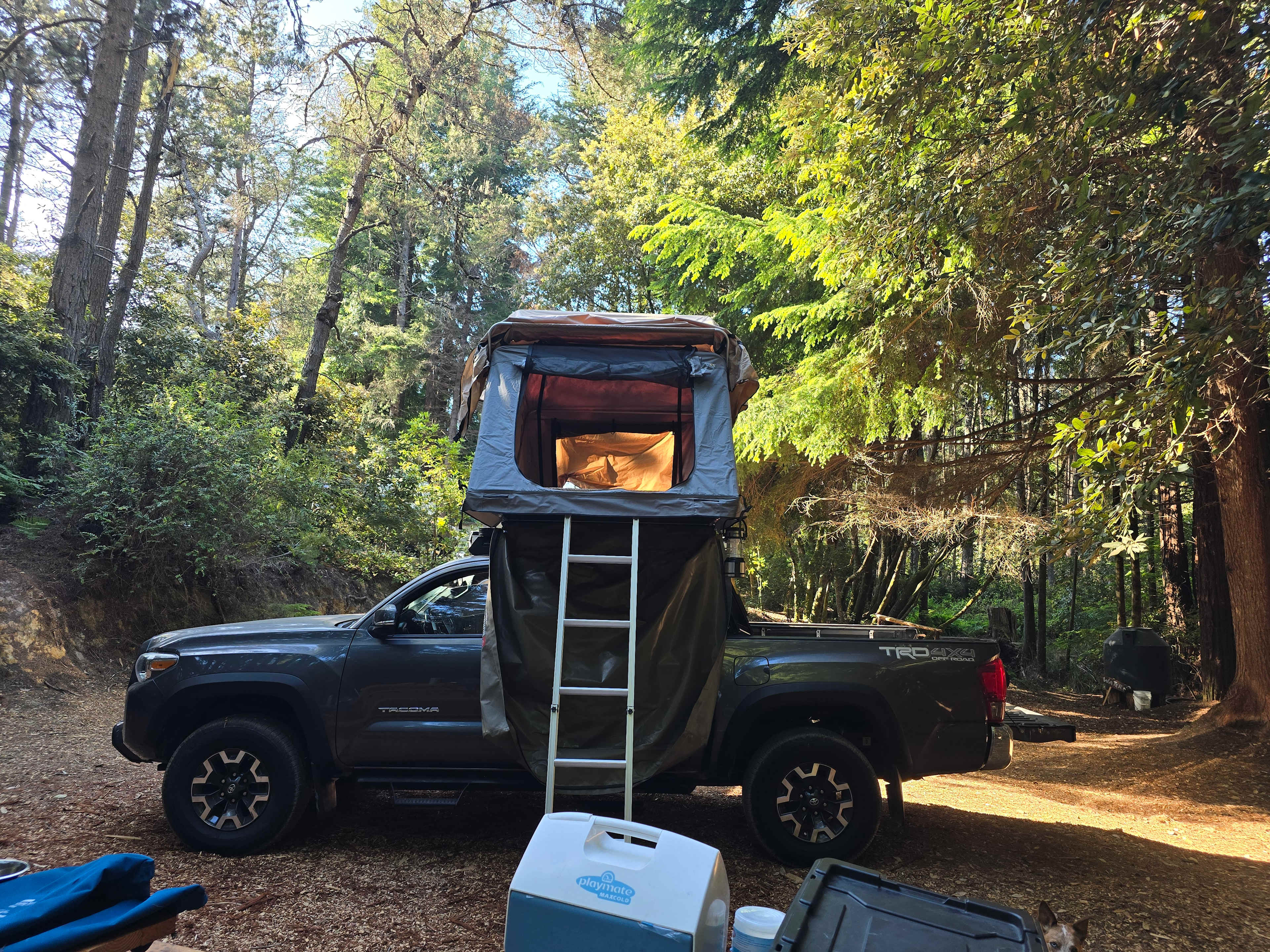 Bigfoot’s Coastal Hideaway