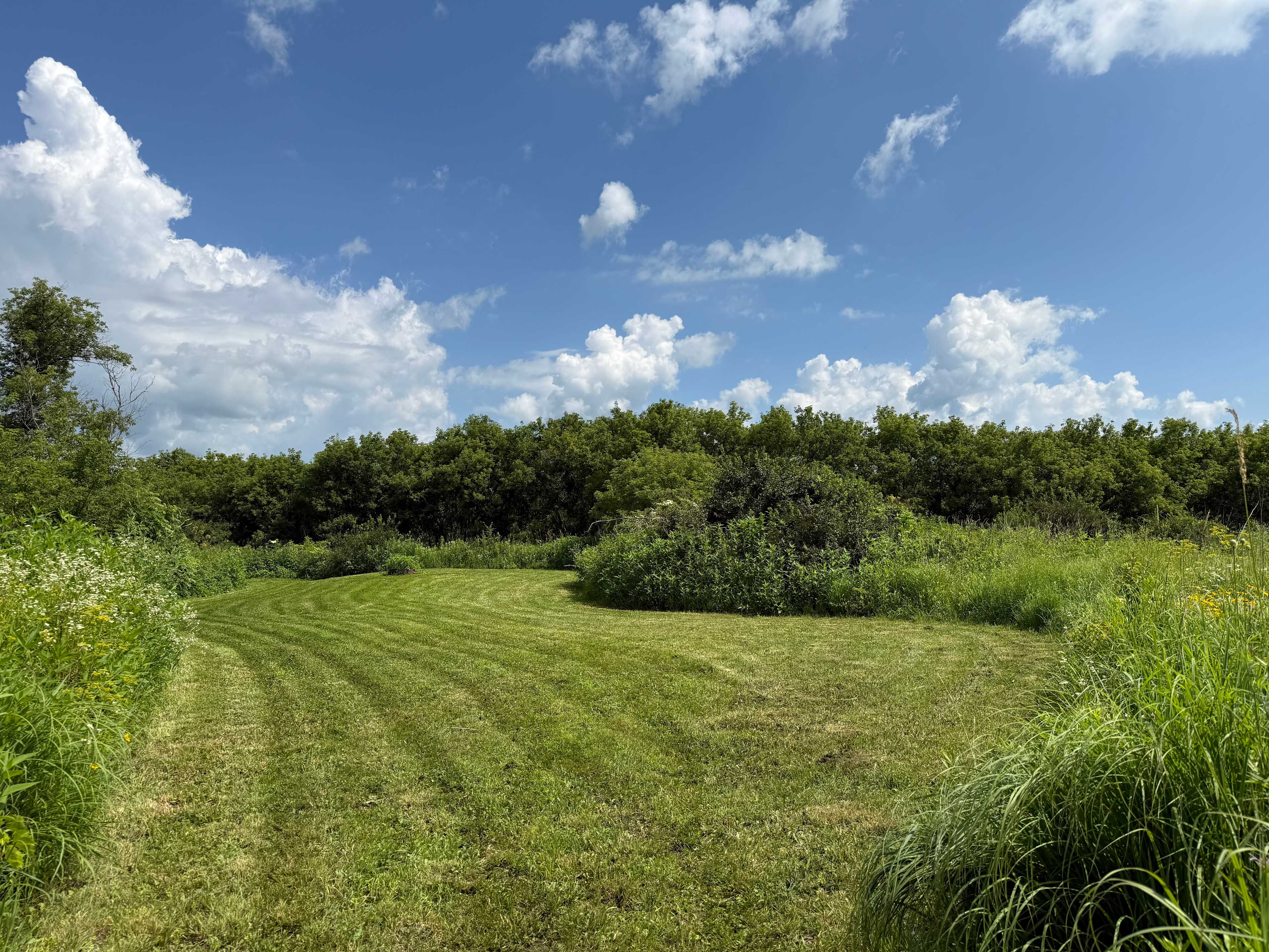 Pink River Ranch in the Driftless