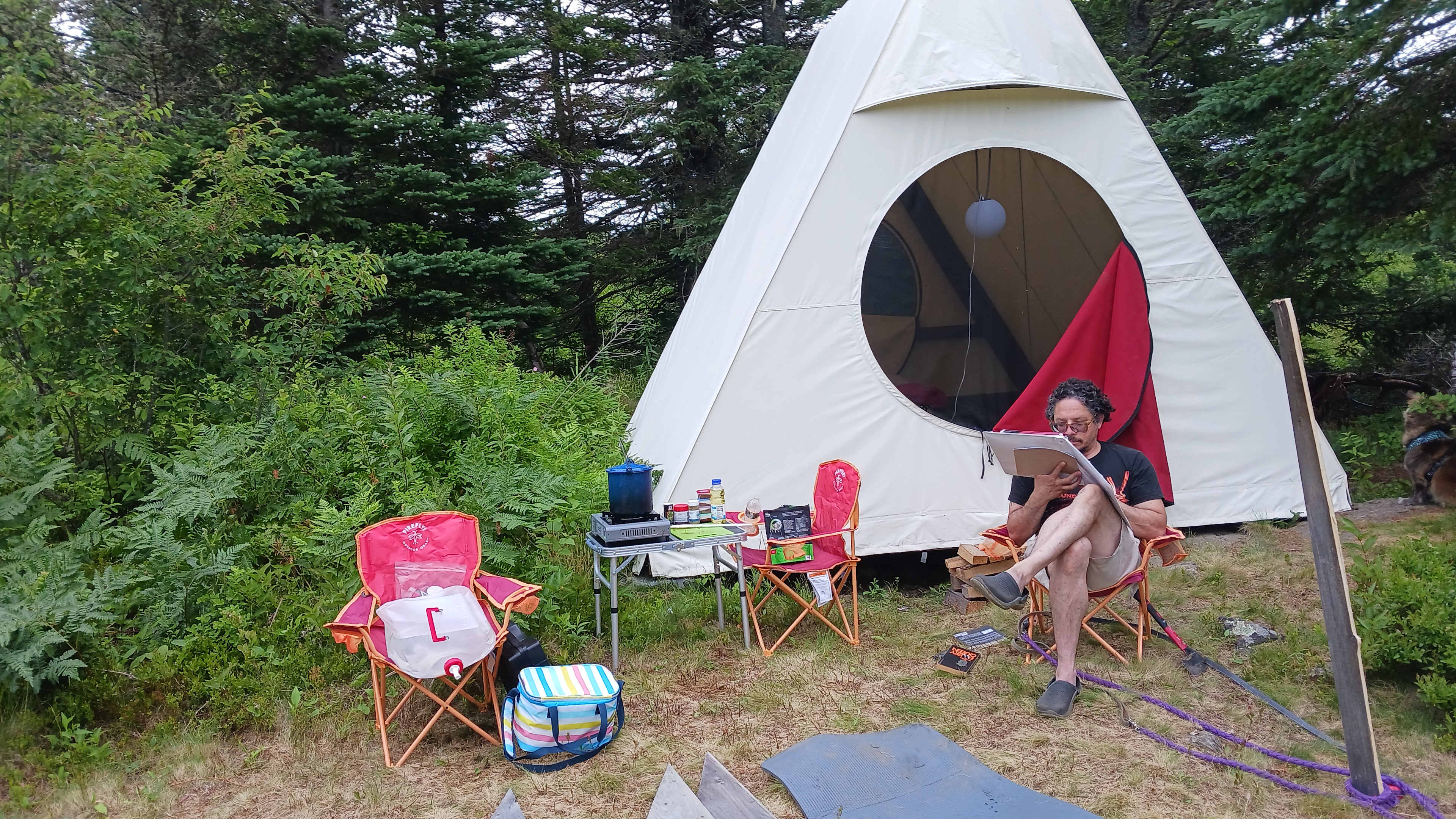 Blueberry Land Tent Platforms