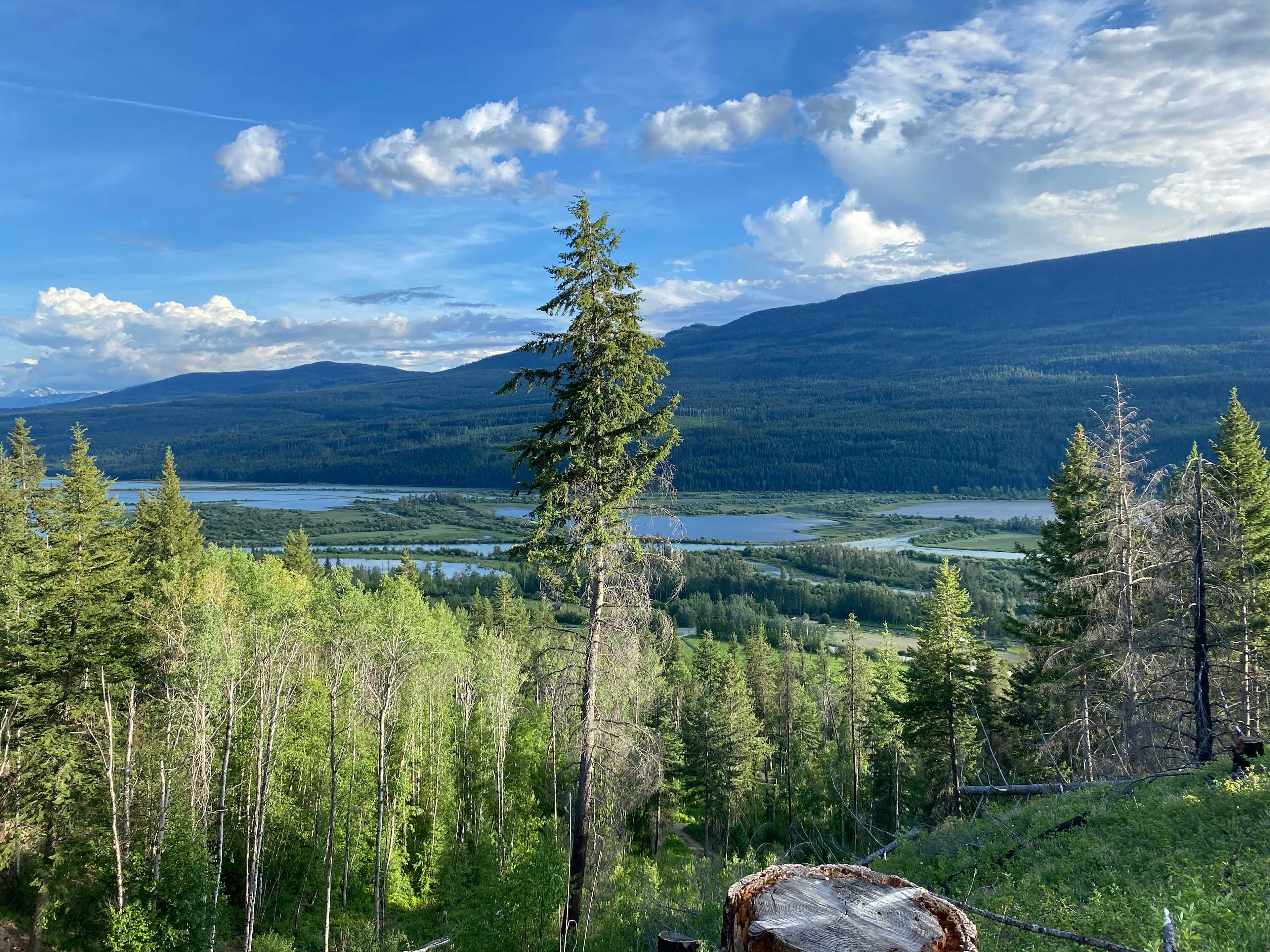 Columbia wetlands Outpost