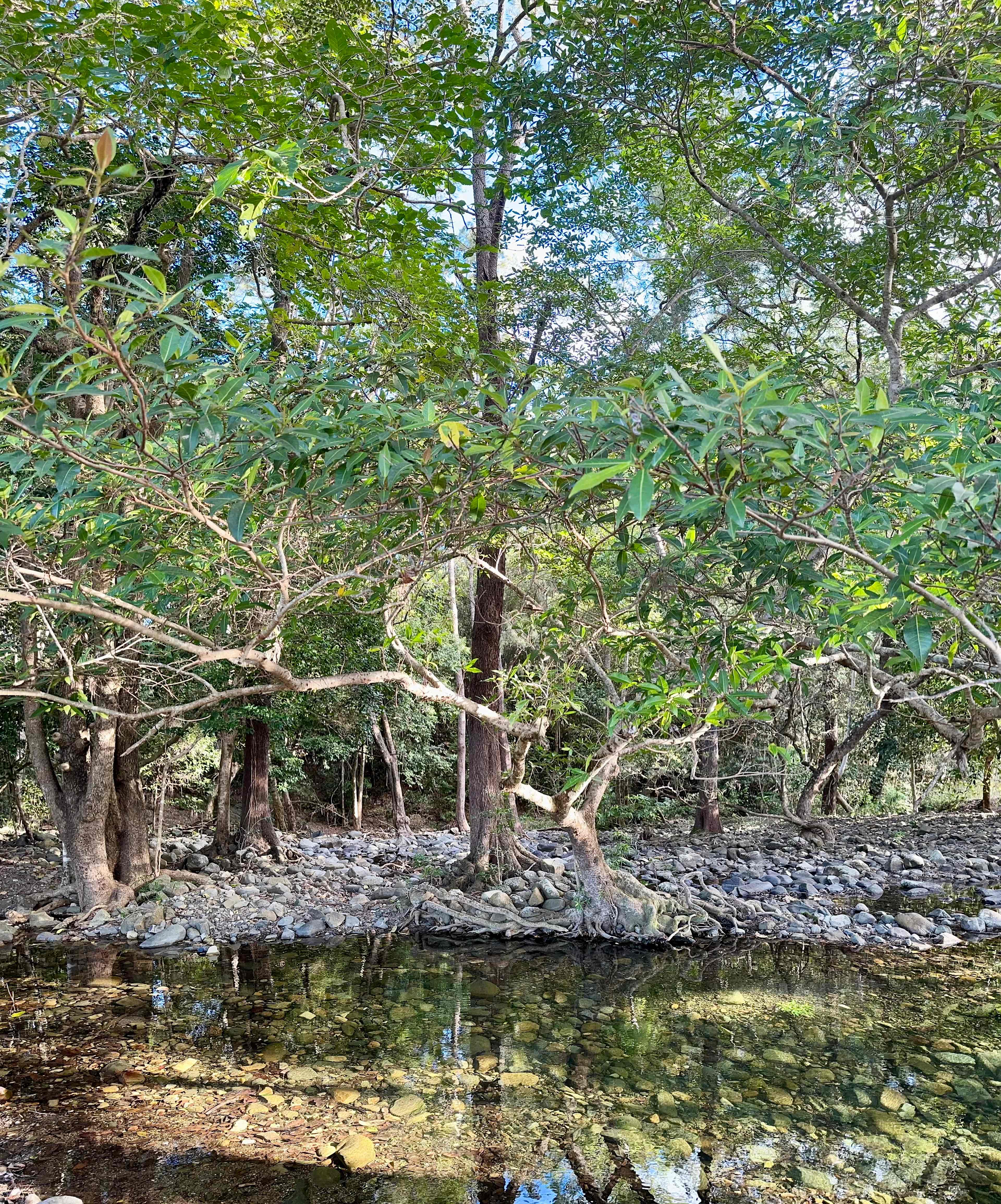 Blue Tree Campground