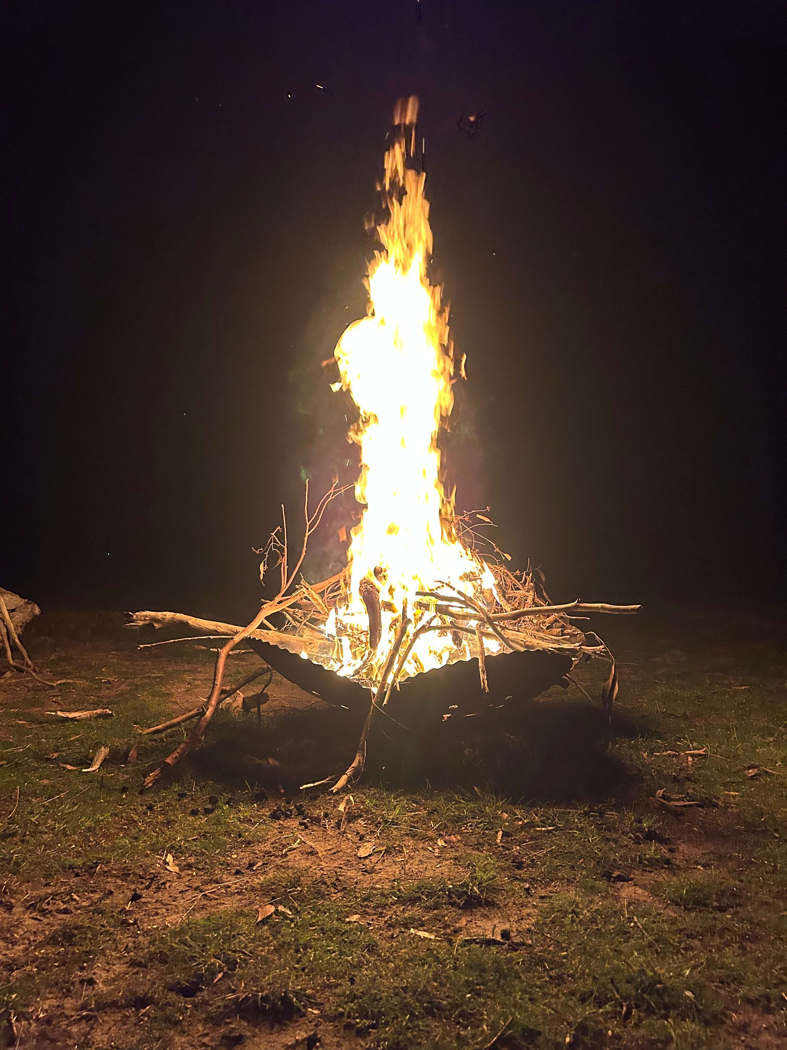 Bluegums Farm, Bordertown