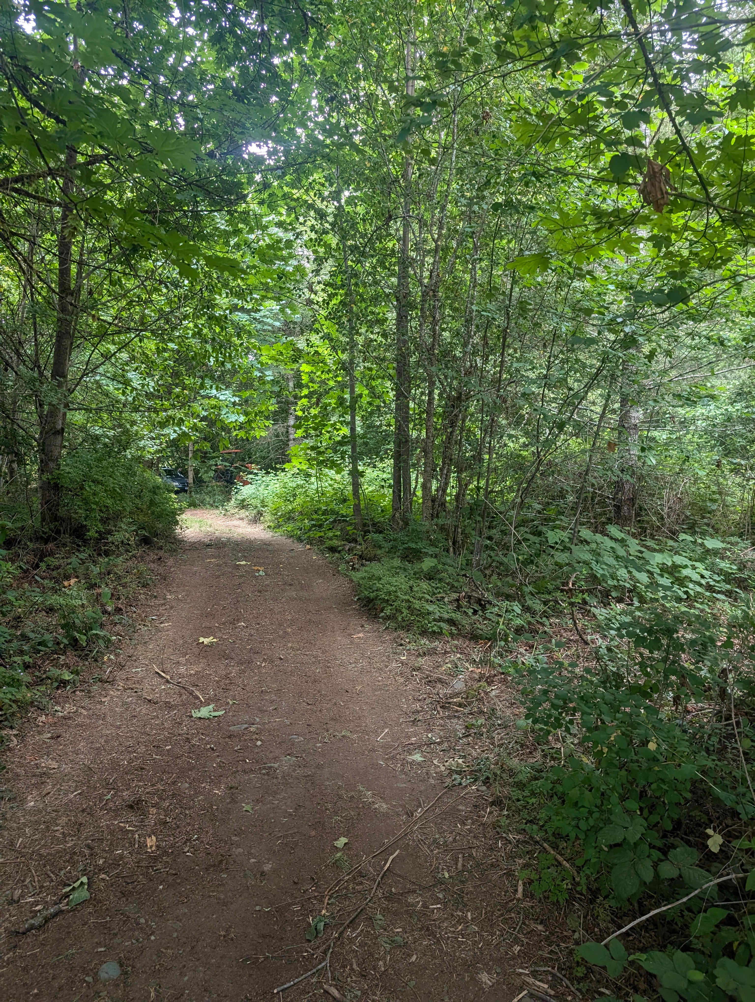 Coming in, (from hwy, office, and bathrooms), at the beginning of the "Camp C" trail.