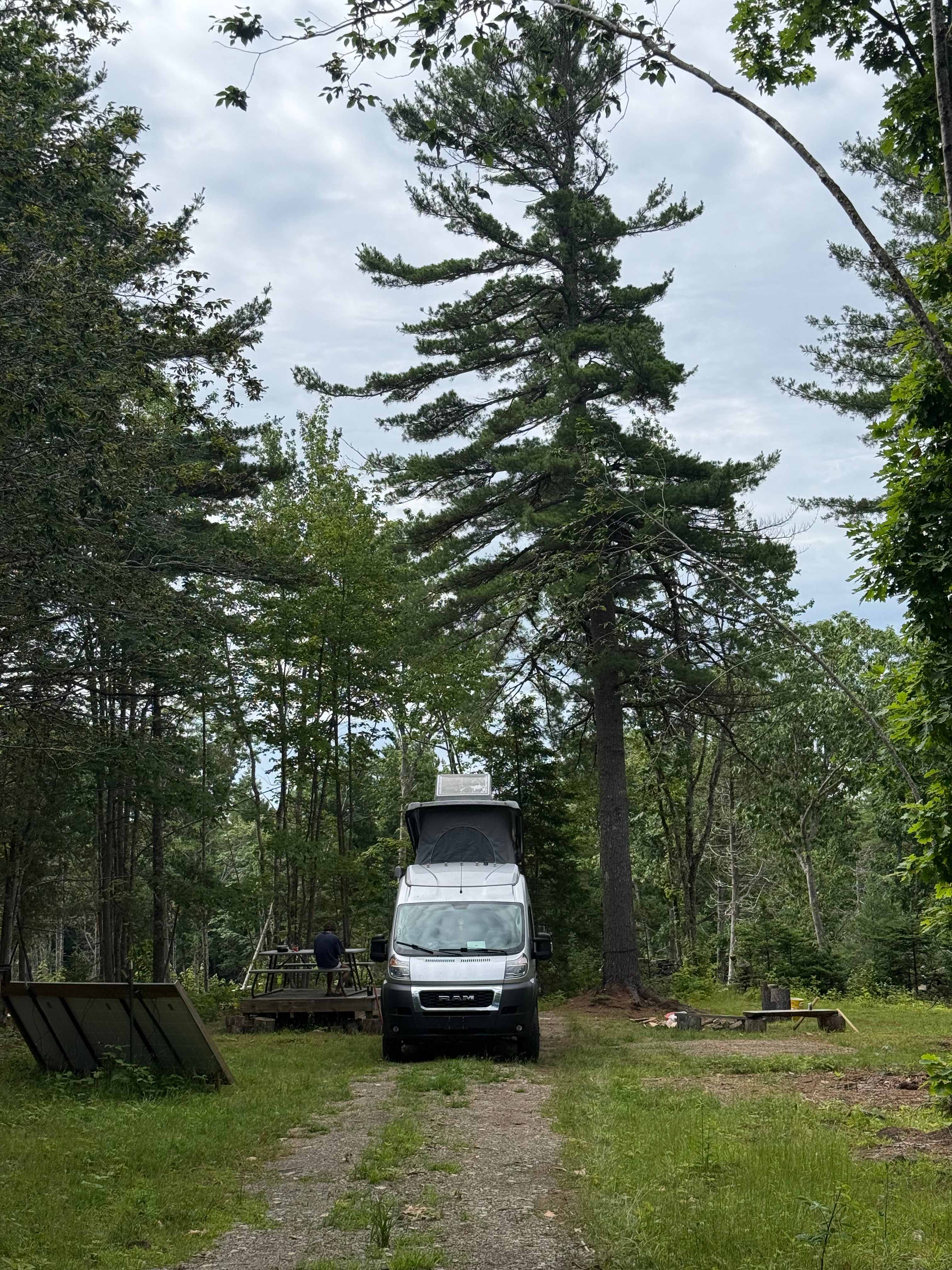Peaceful Pine Retreat near Belfast