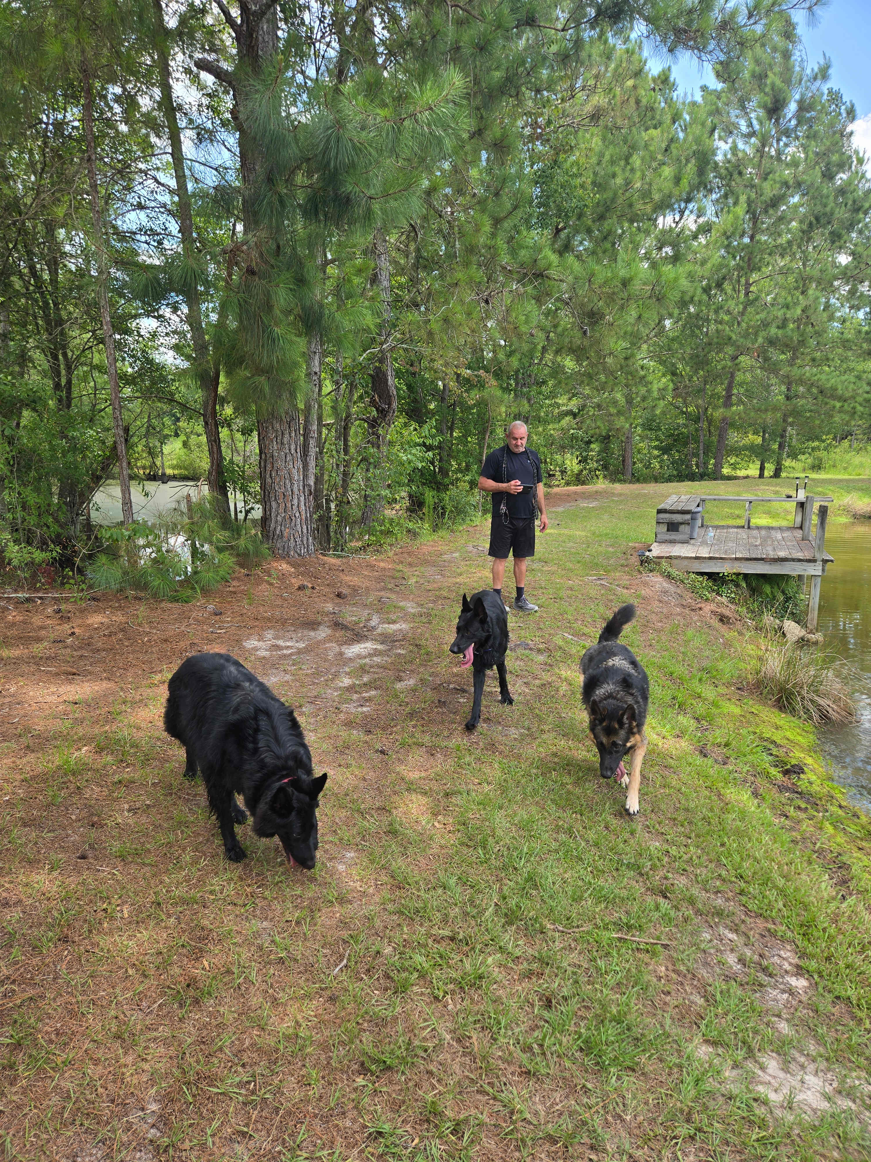 A run down by the pond 