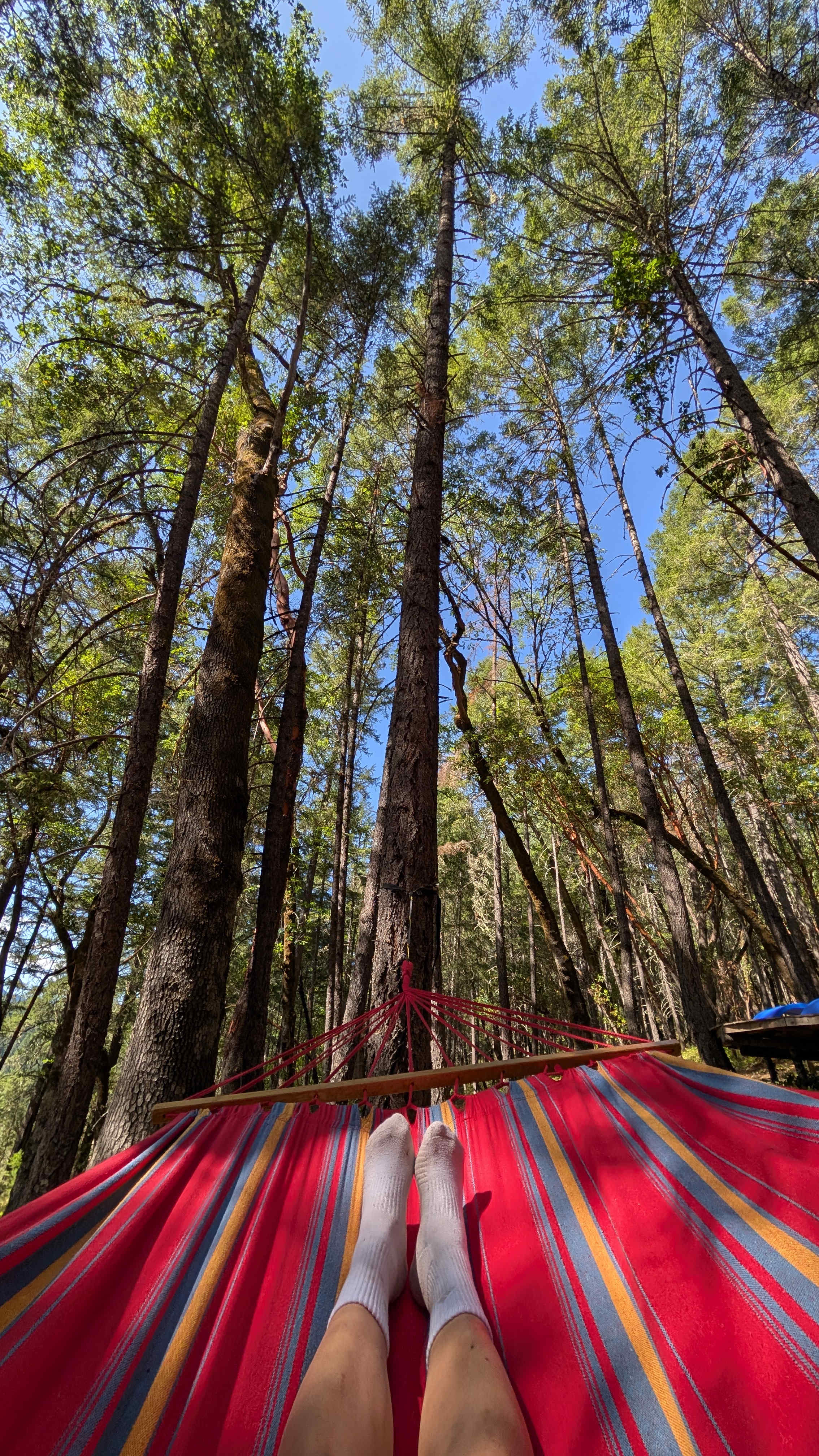 Rogue River Glamping