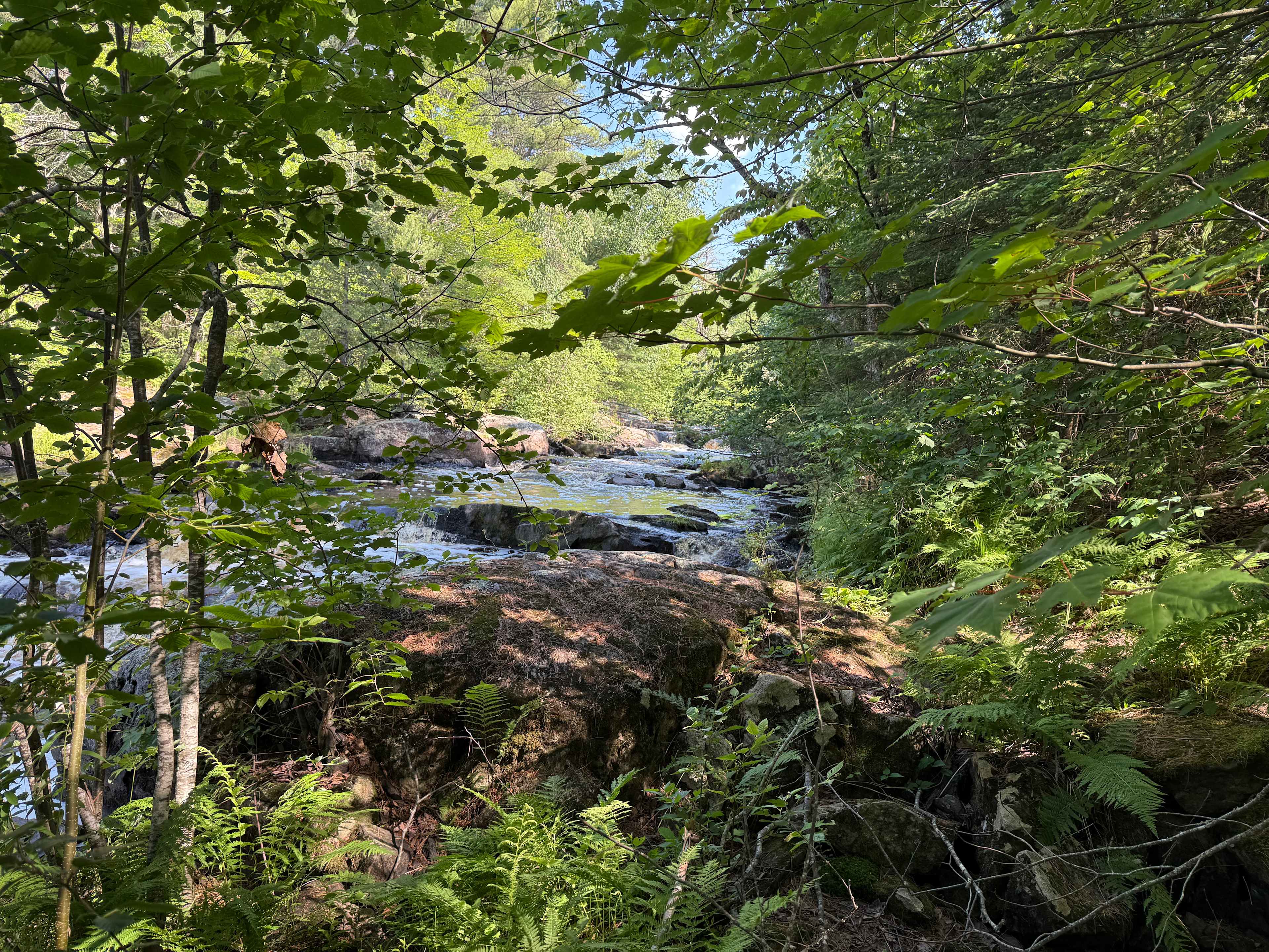 Bad River Wilderness
