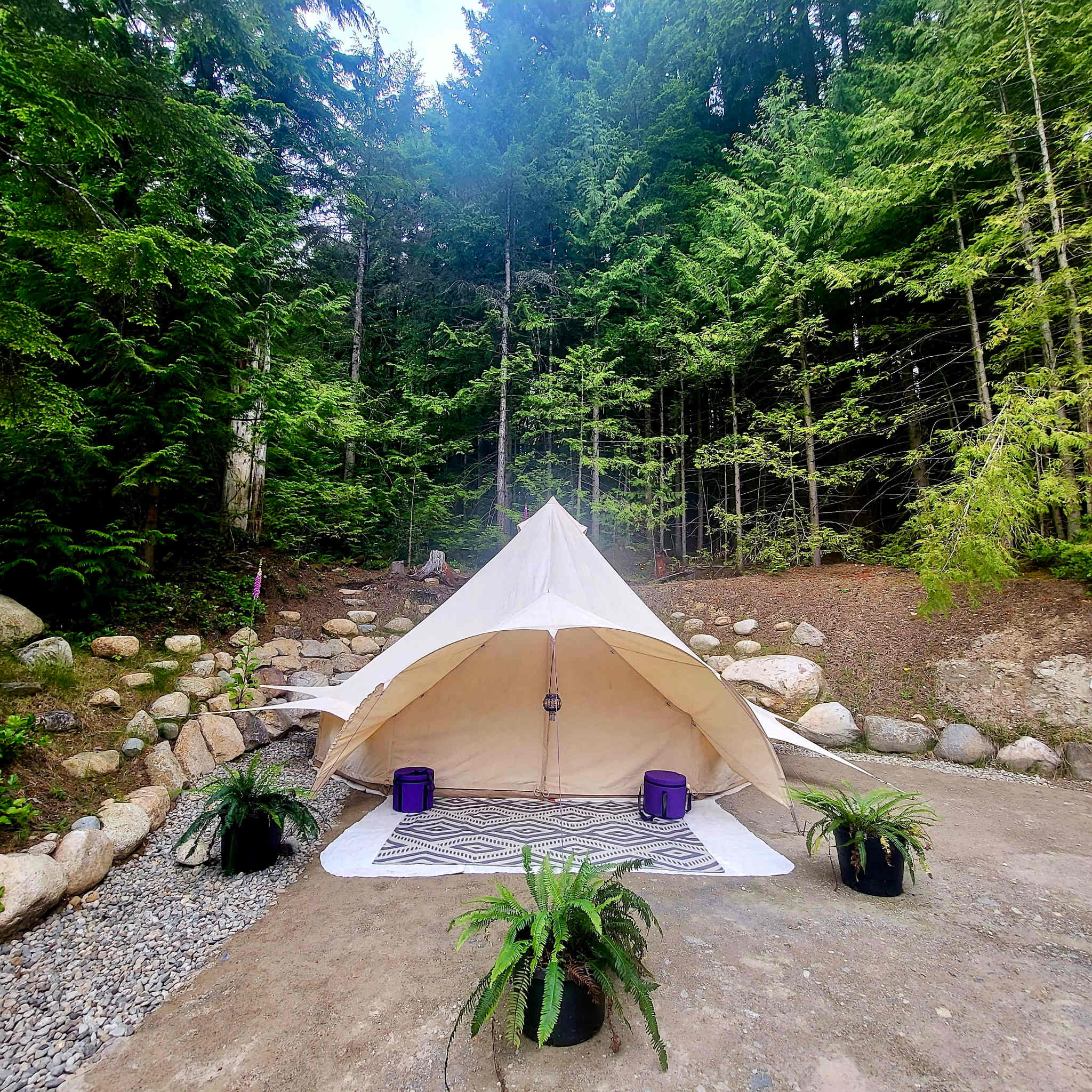 Forest Sanctuary Bell Tent